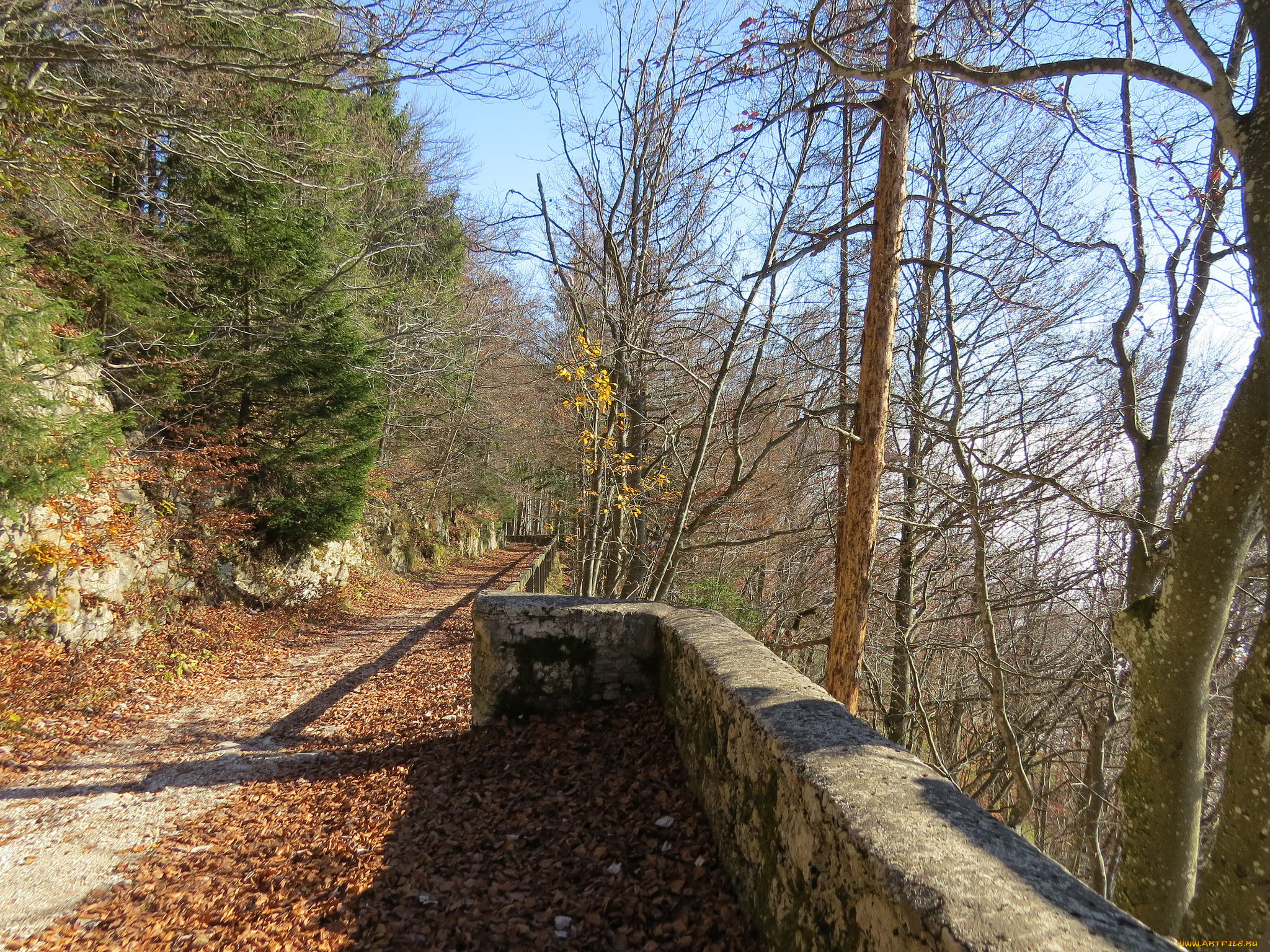 природа, дороги, осень, лес