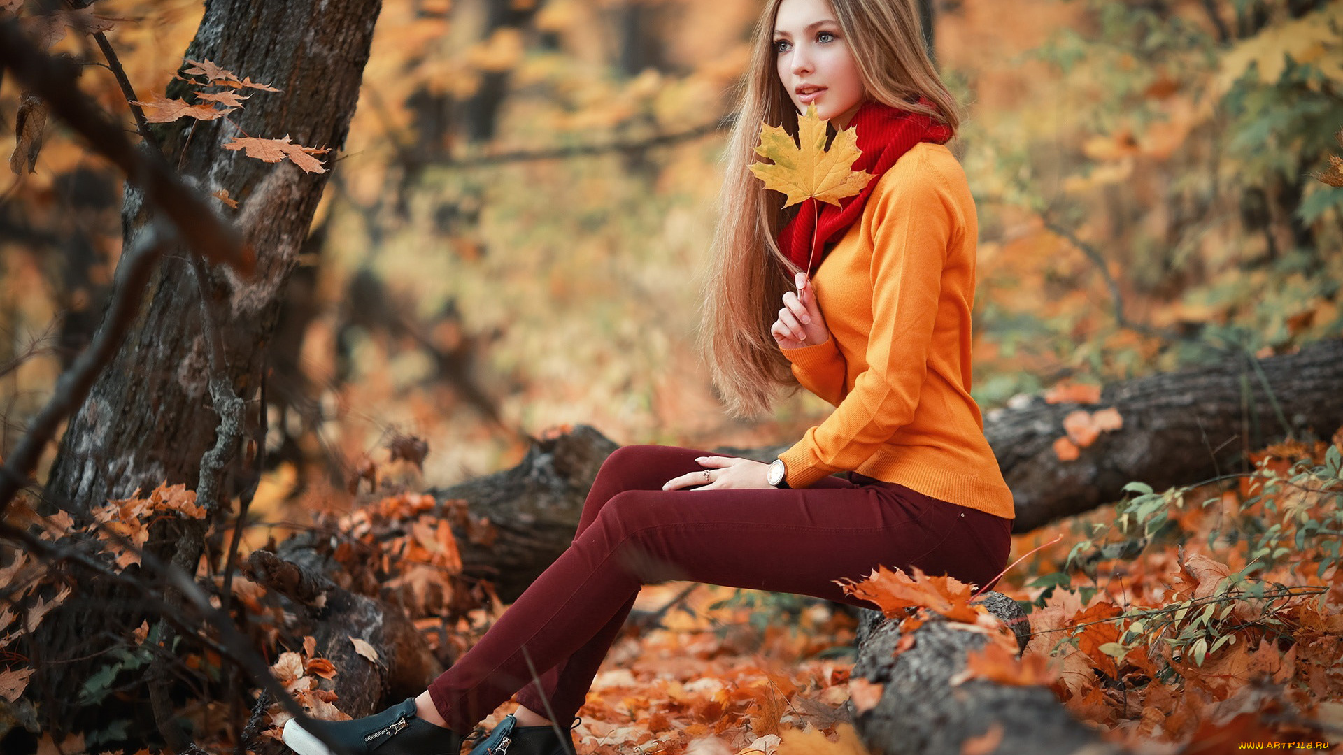 девушка, девушки, -unsort, , блондинки, , светловолосые, модель