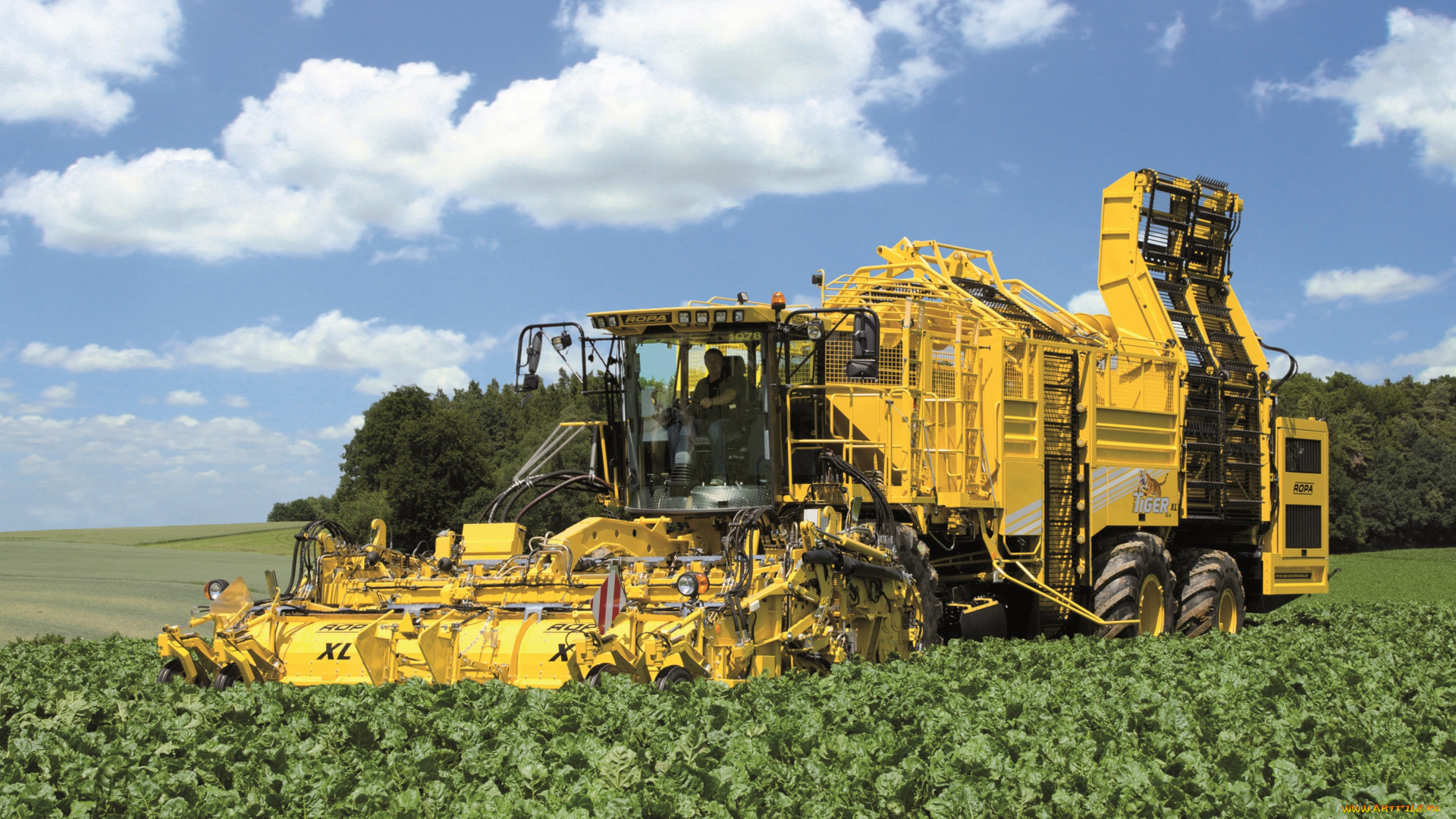 техника, комбайны, ropa