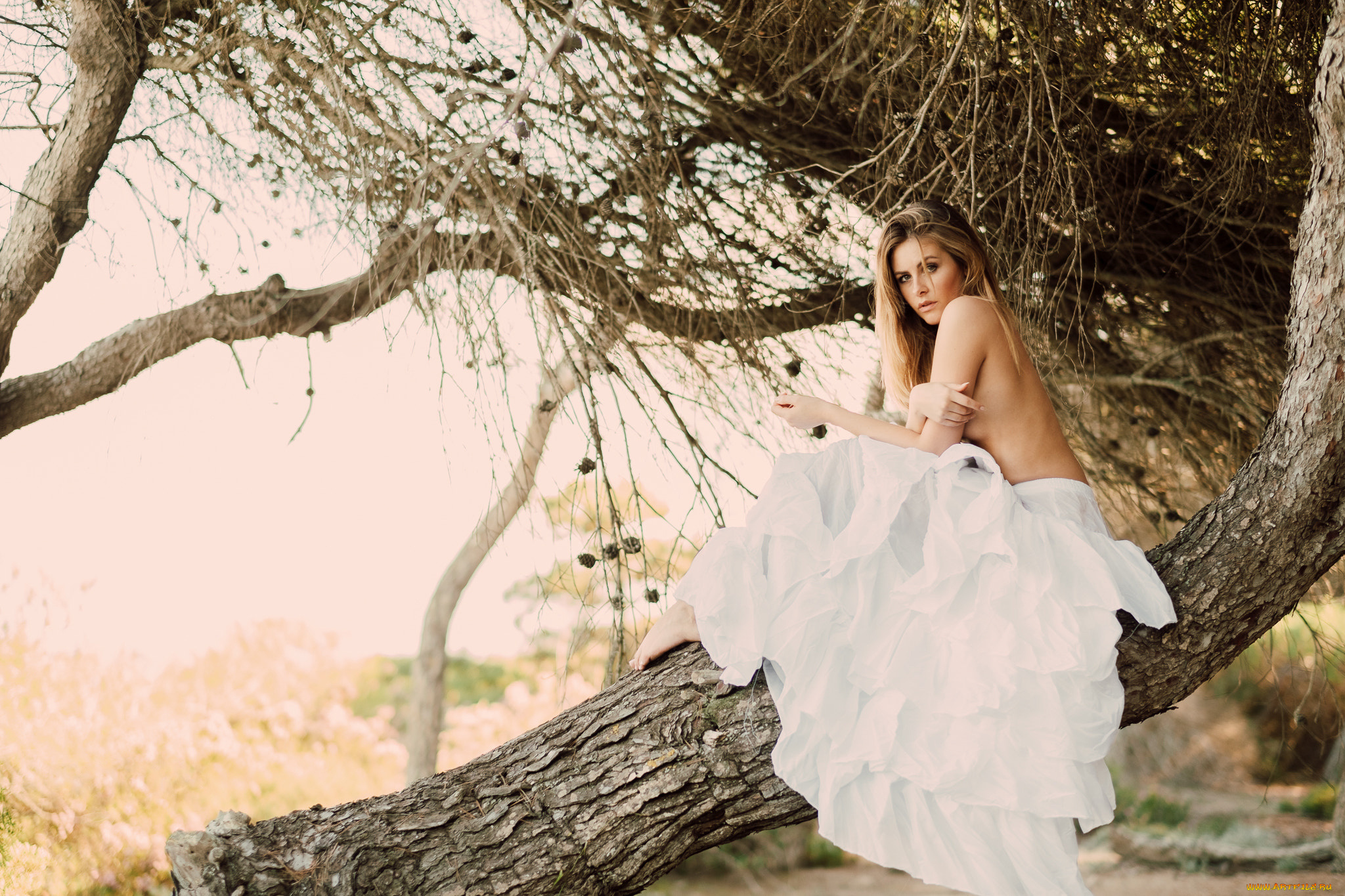 девушка, девушки, -unsort, , блондинки, , светловолосые, модель