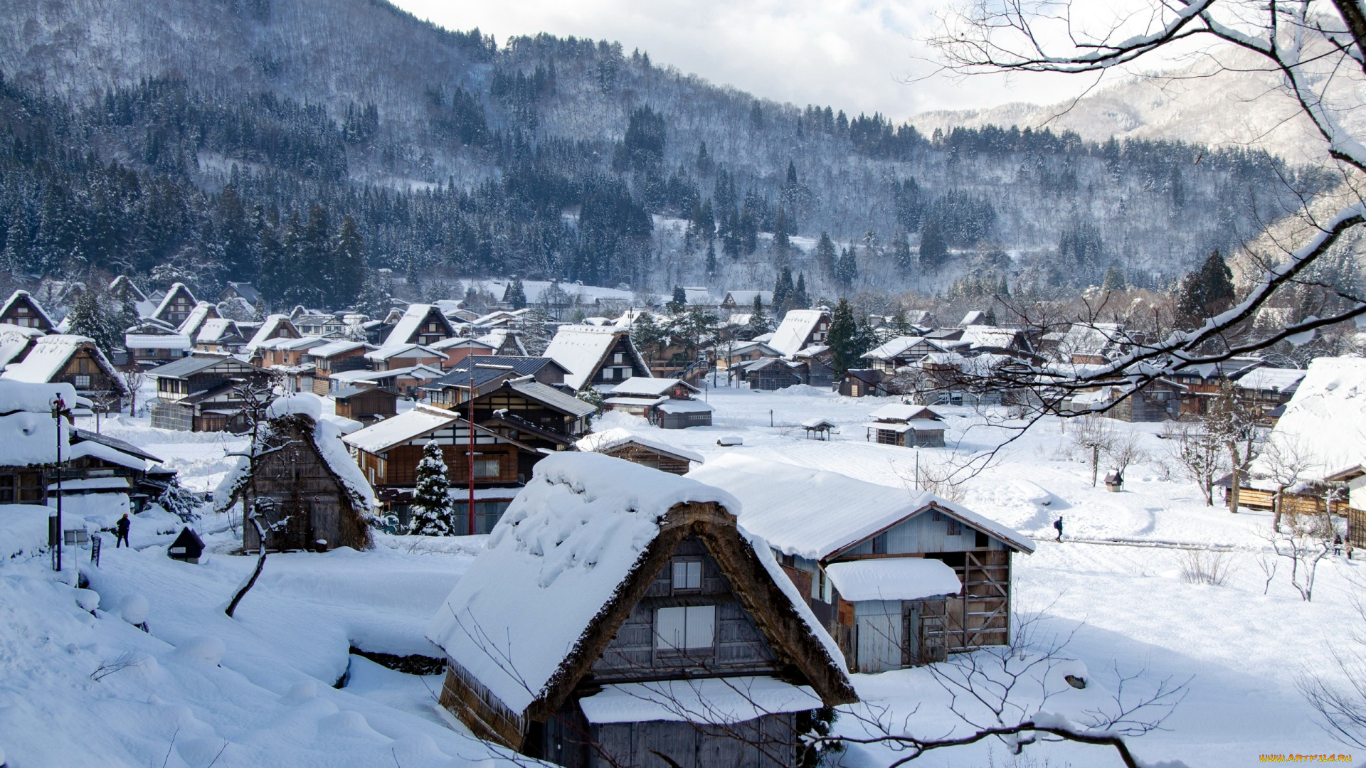 shirakawa, village, japan, города, -, здания, , дома, shirakawa, village