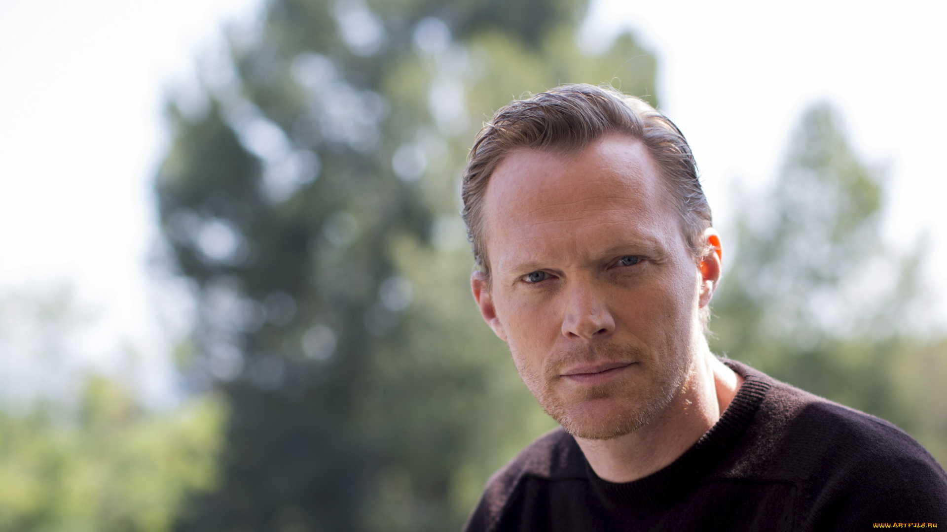 мужчины, paul, bettany, paul, bettany