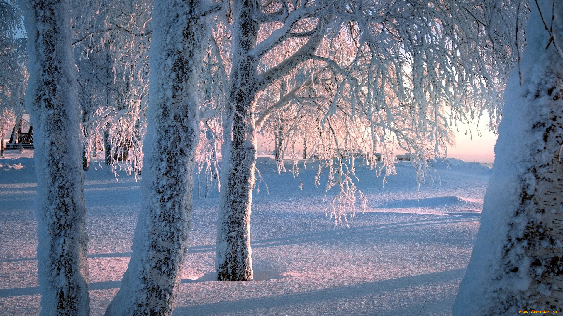 природа, зима, снег, сугробы