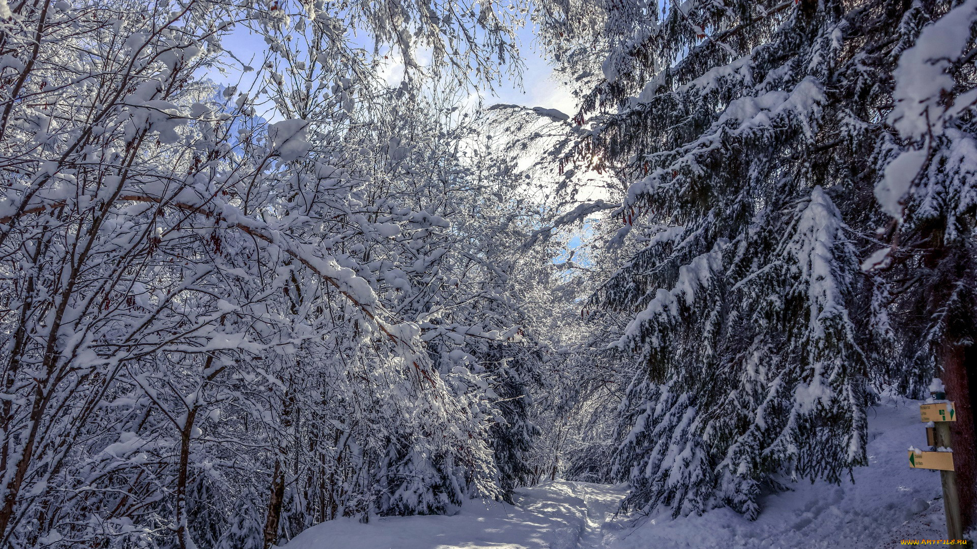 природа, зима, снег, сугробы