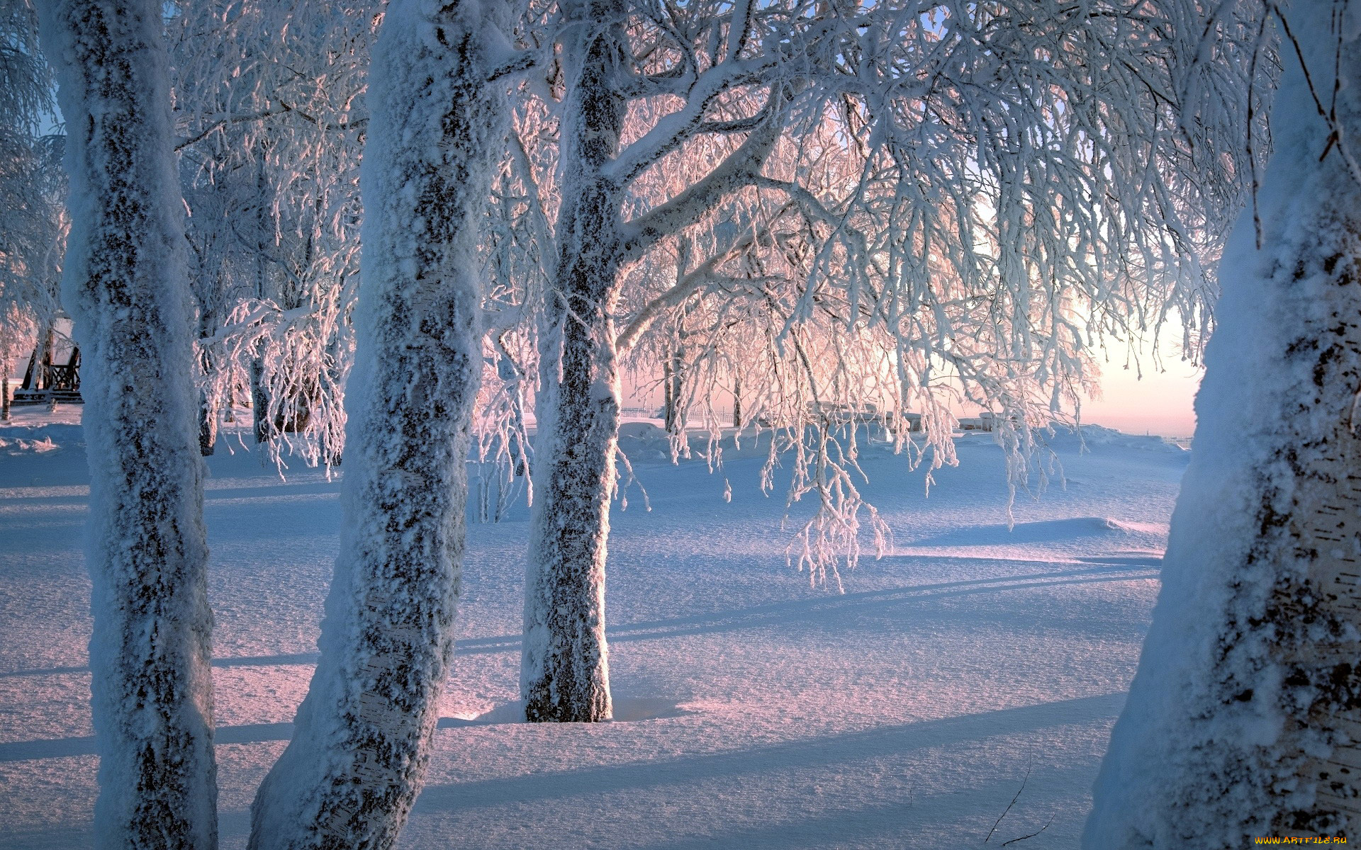 природа, зима, снег, сугробы