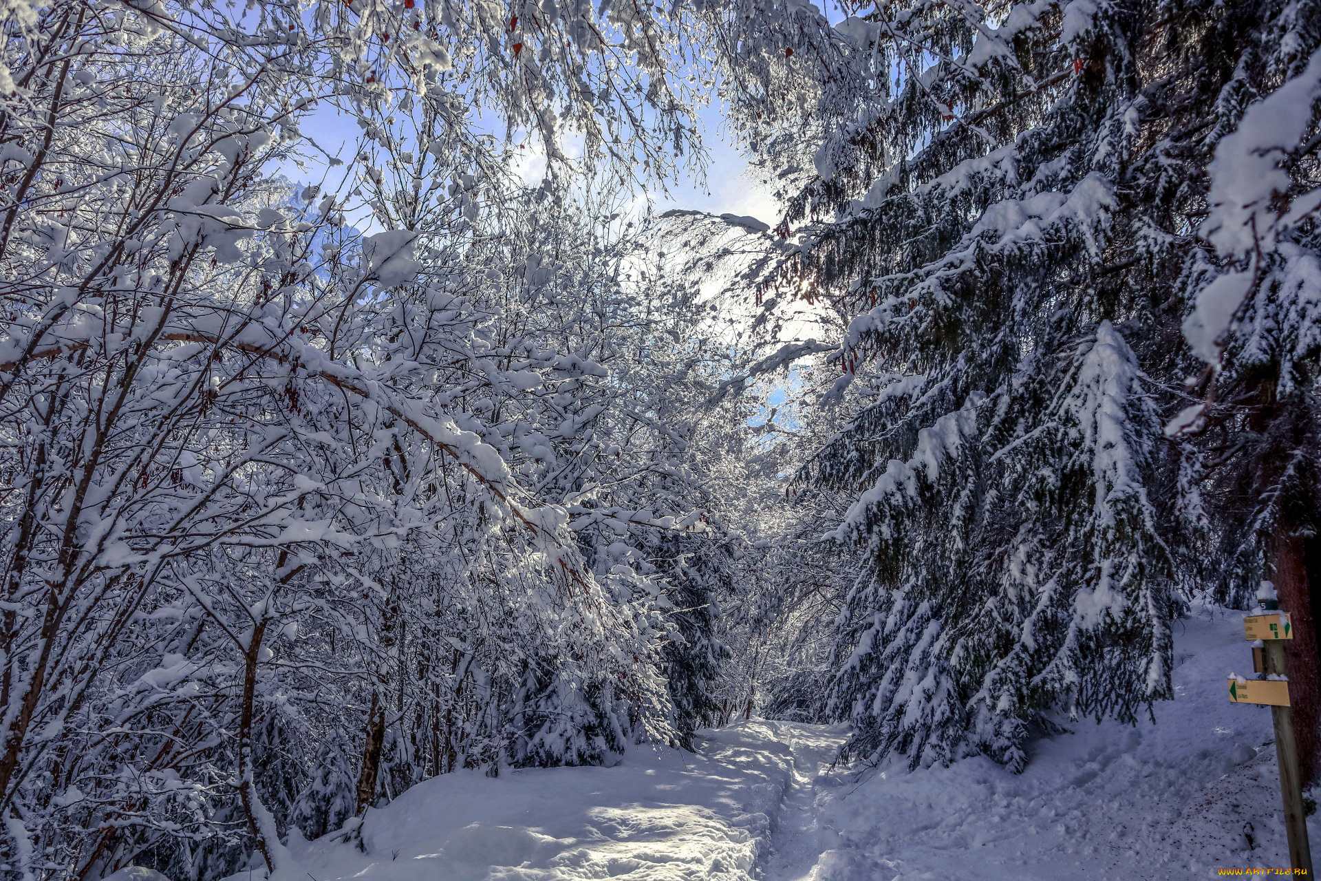 природа, зима, снег, сугробы