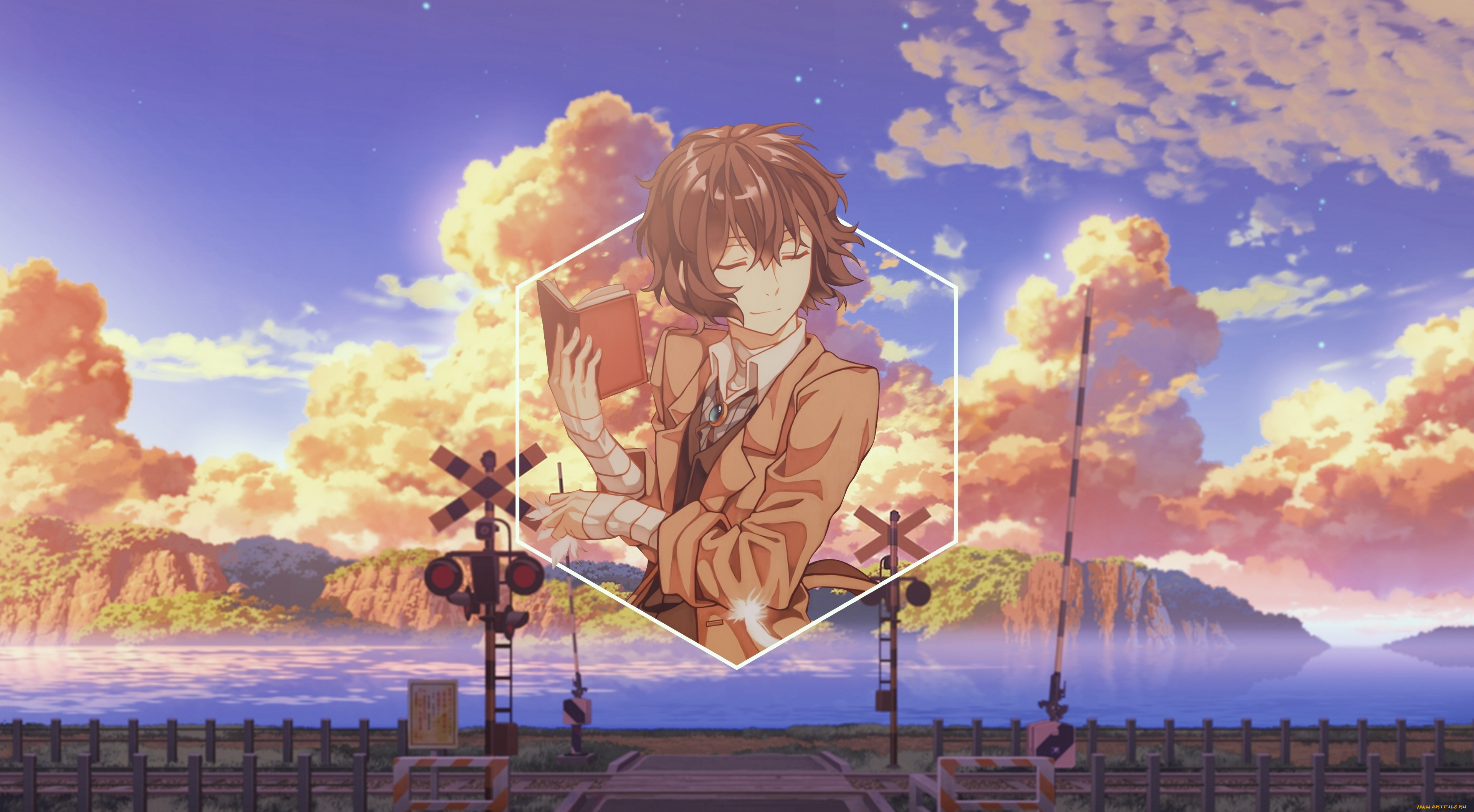 аниме, bungou, stray, dogs, бродячие, псы, литературные, гении