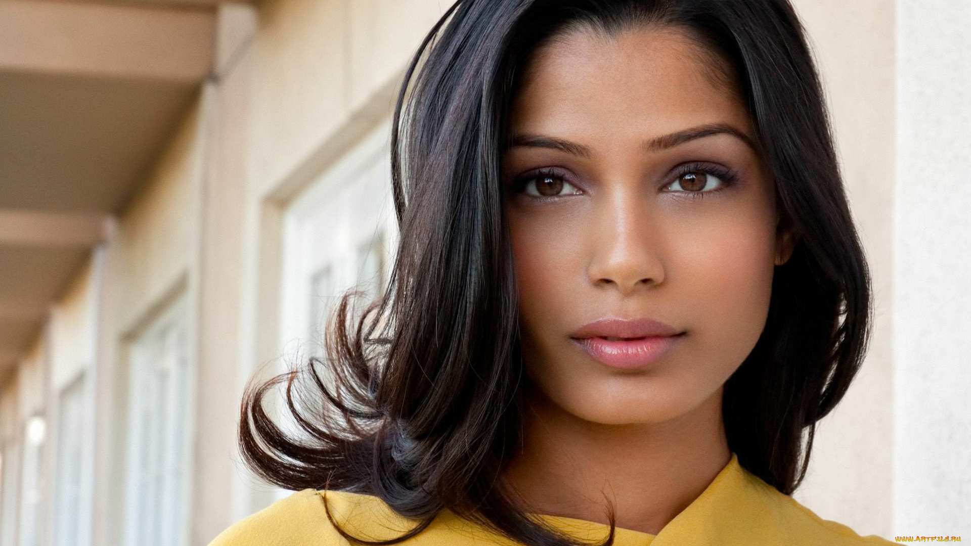 freida, pinto, девушки, freida, pinto, лицо, портрет, индия, актриса, девушка, модель, брюнетка, поза, стройная, сексуальная