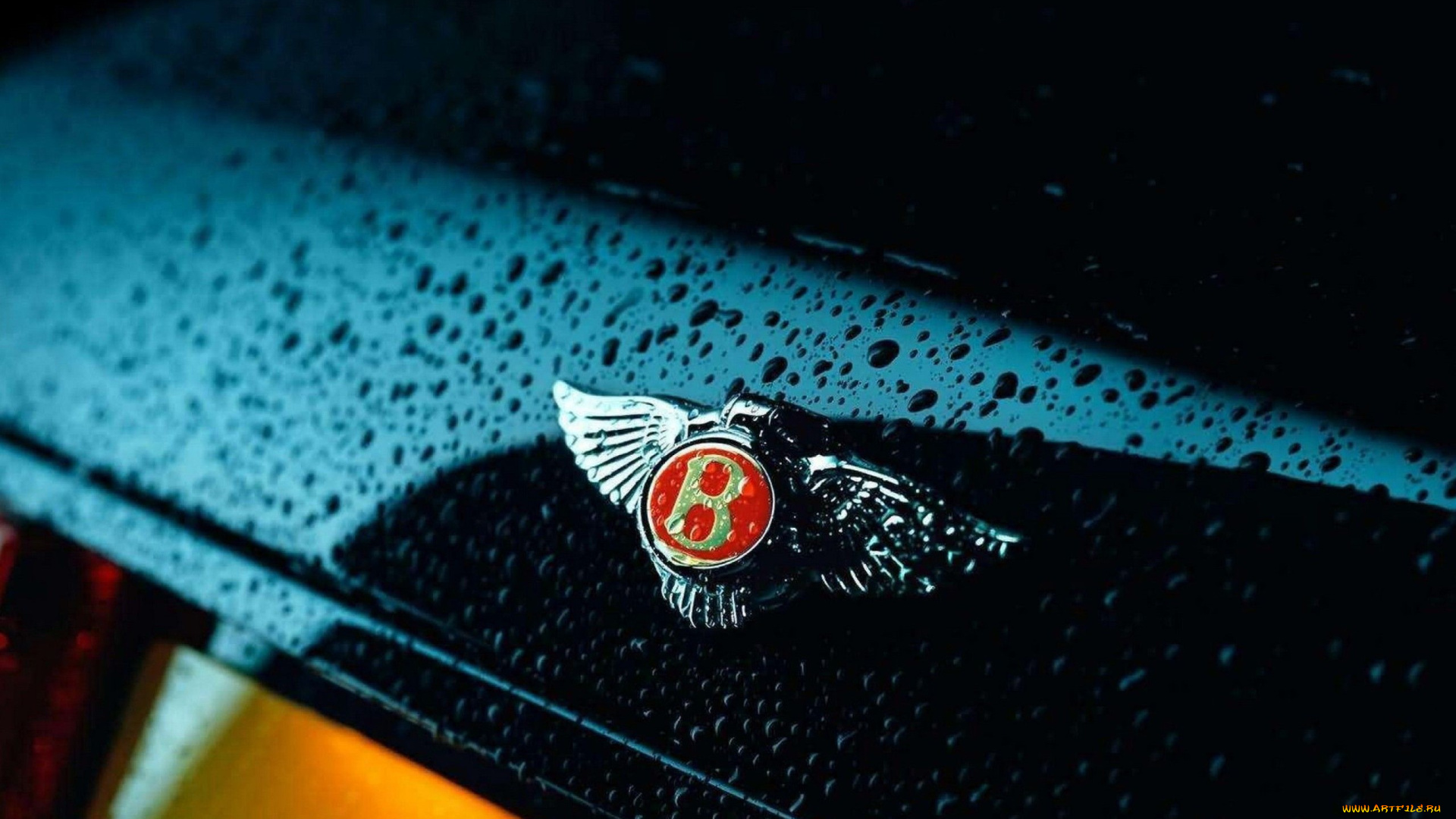 автомобили, фрагменты, автомобиля, бентли, тёмный, капли