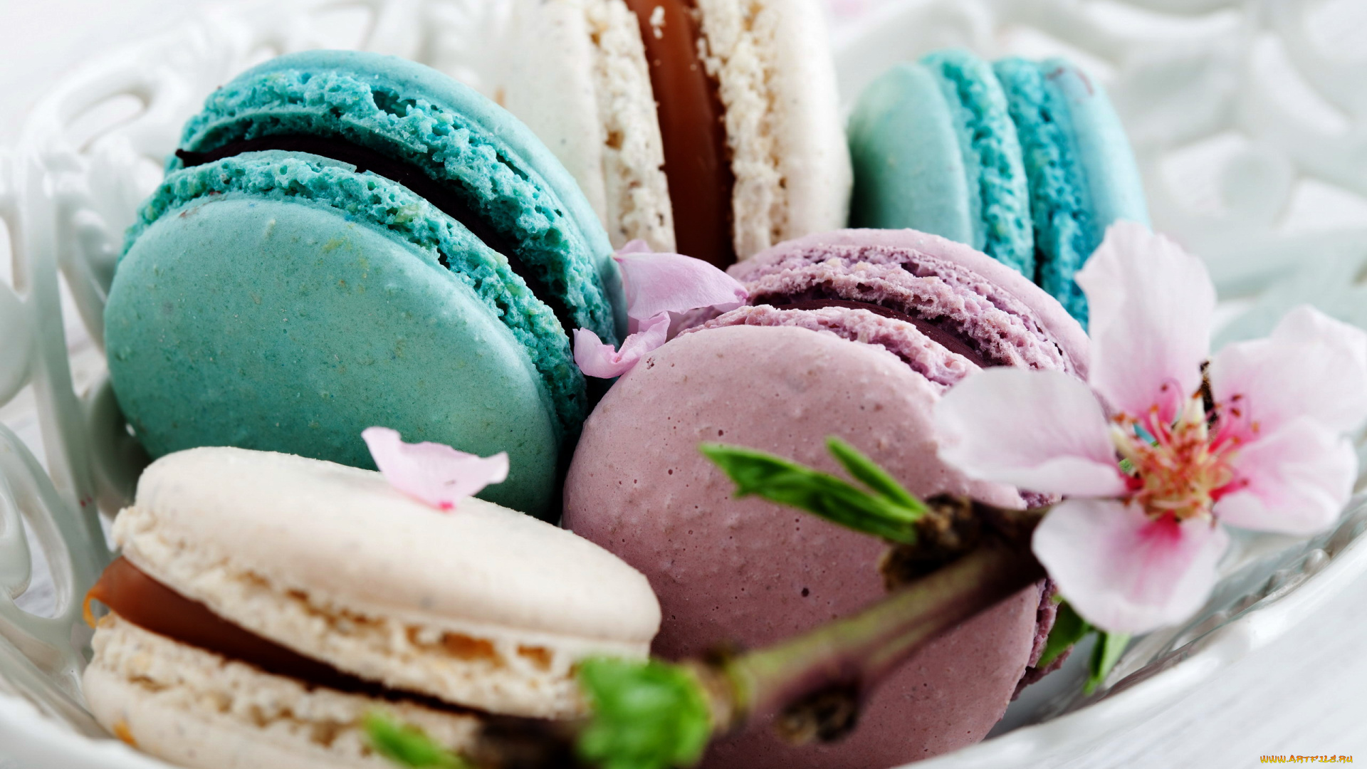 еда, макаруны, лакомство, печенье, ассорти