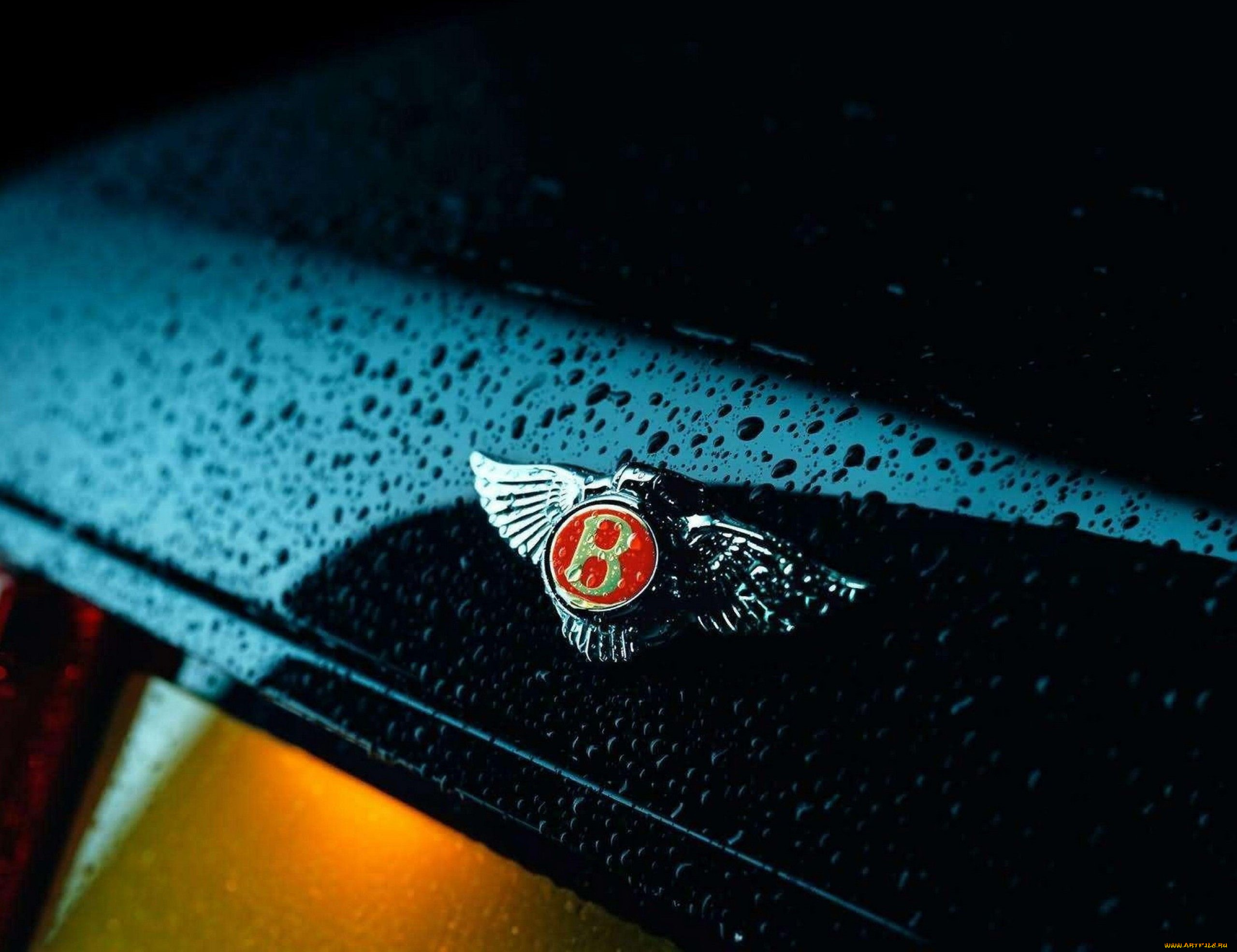 автомобили, фрагменты, автомобиля, бентли, тёмный, капли