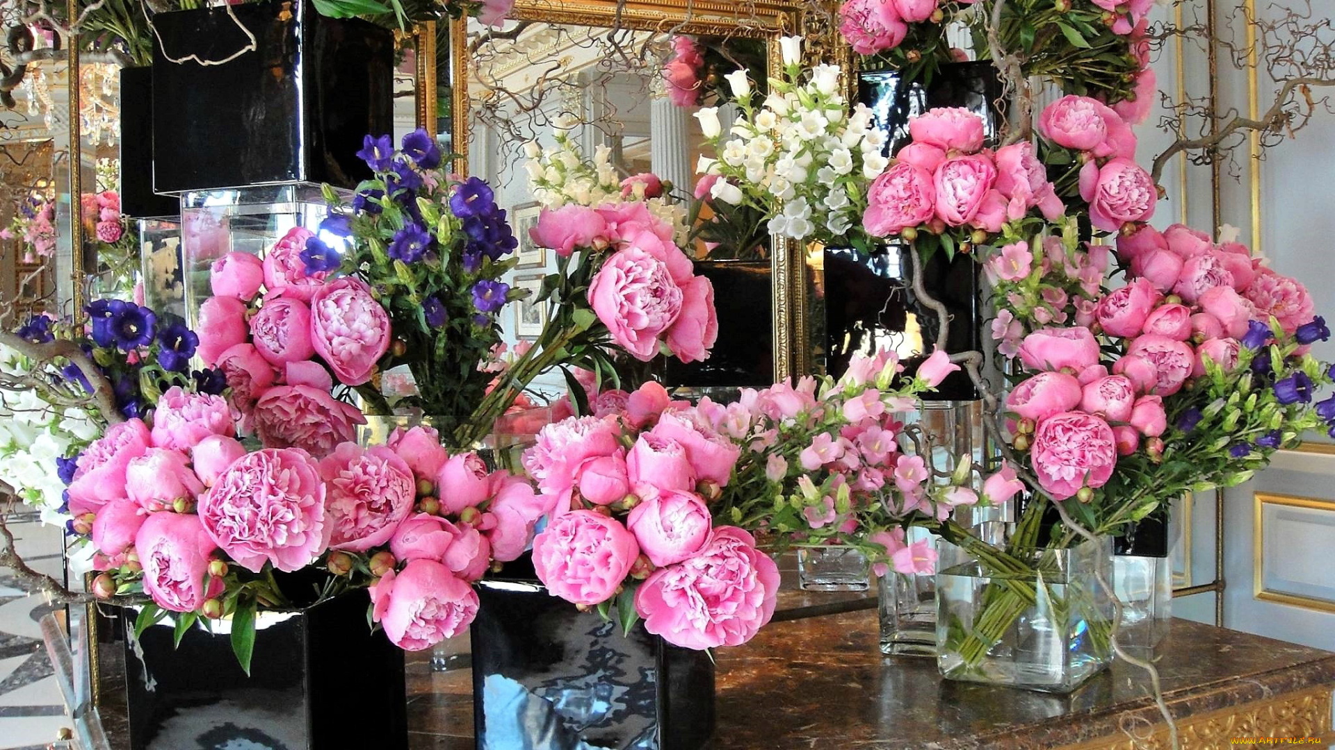 цветы, разные, вместе, пионы, колокольчики