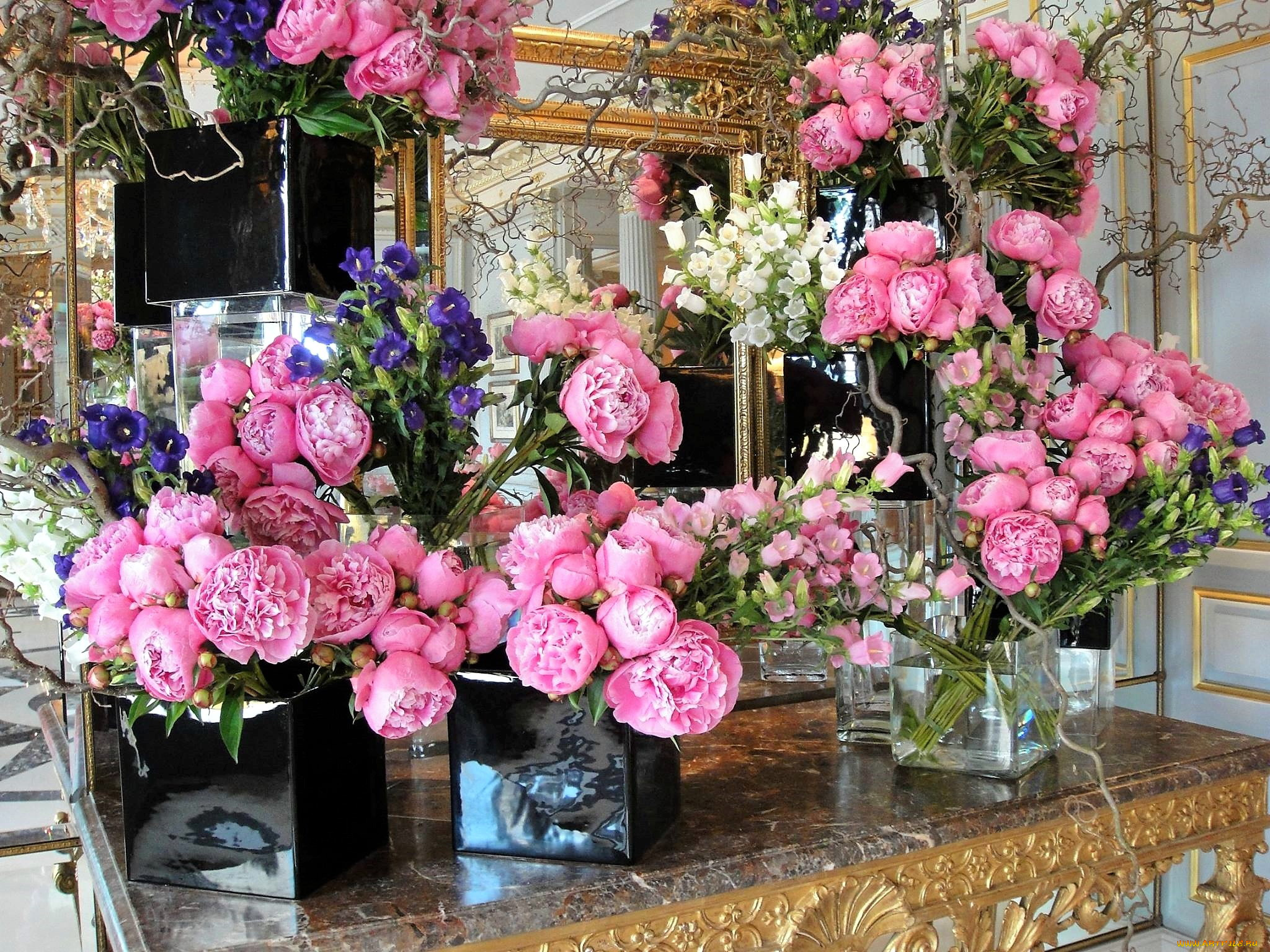 цветы, разные, вместе, пионы, колокольчики