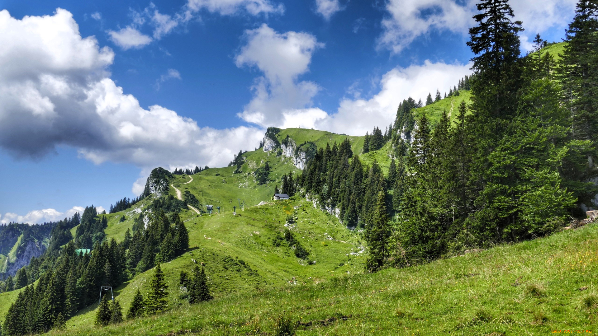 природа, горы, облака, трава, поляны, деревья