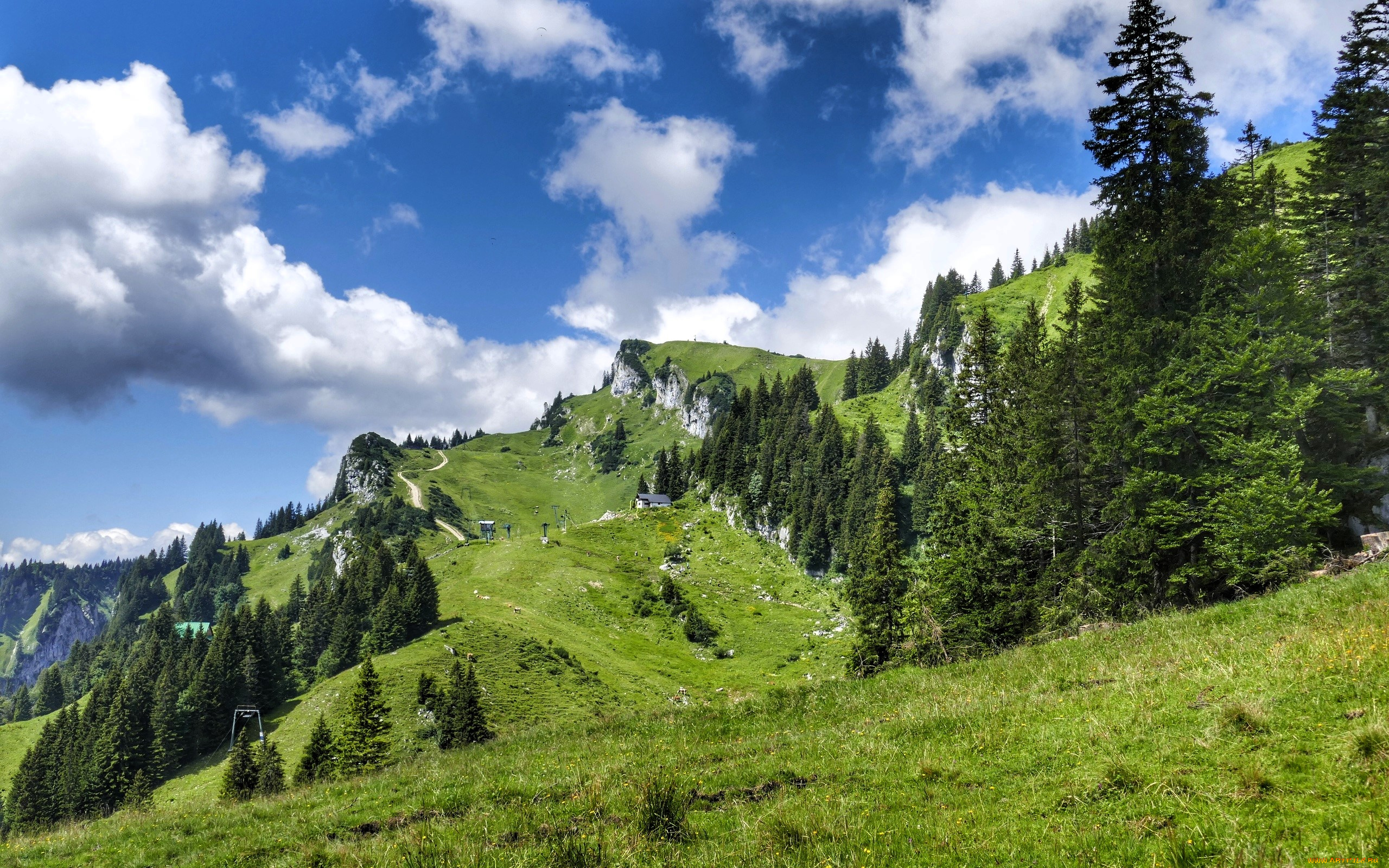 природа, горы, облака, трава, поляны, деревья