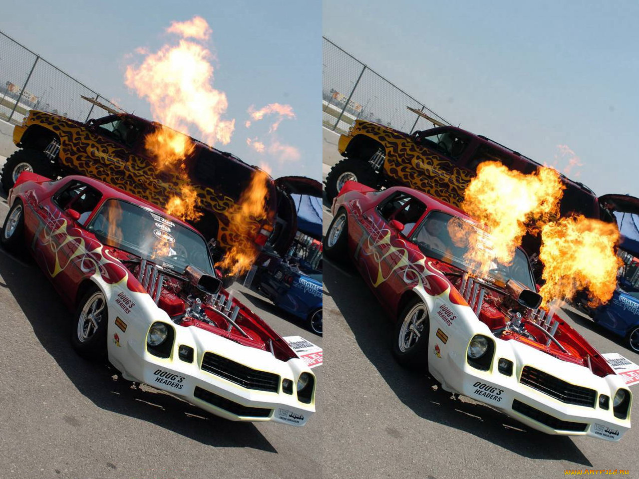 chevrolet, camaro, автомобили, выставки, уличные, фото