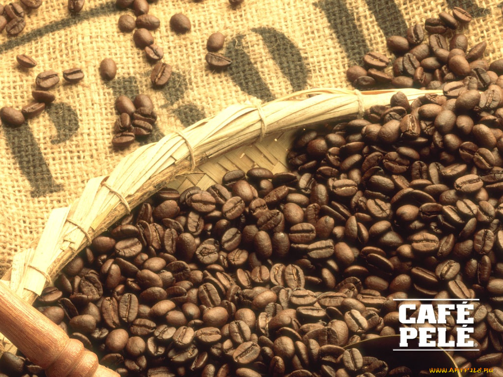 cafe, pele, бренды