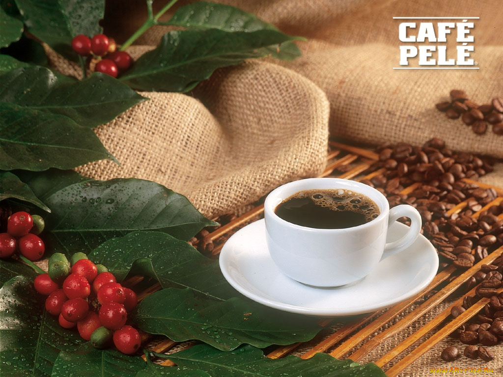 cafe, pele, бренды