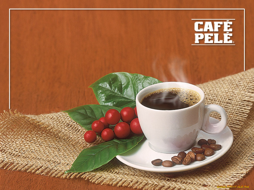 cafe, pele, бренды