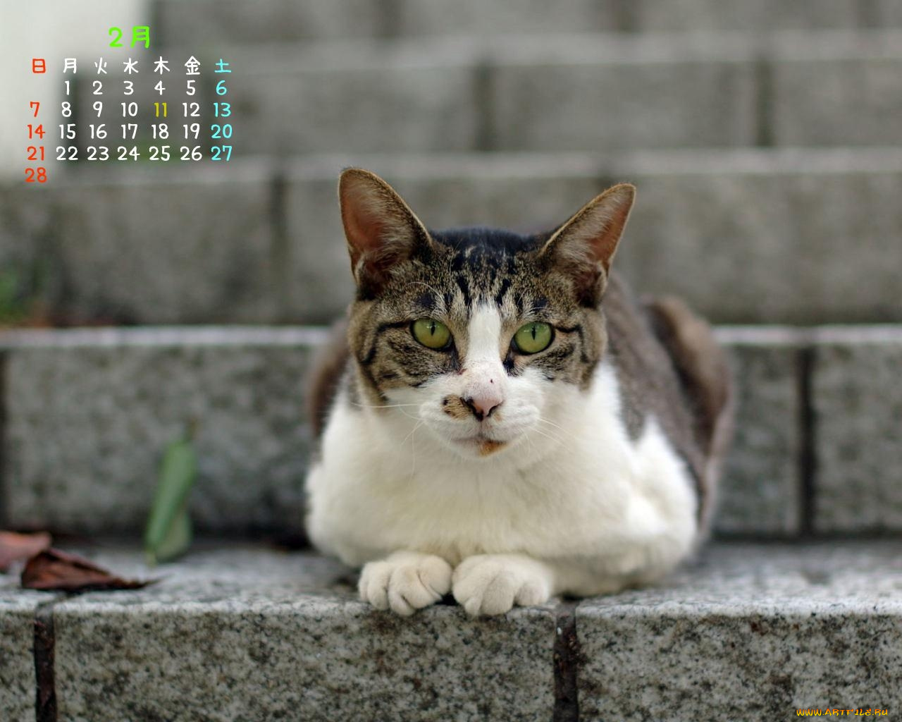 календари, животные