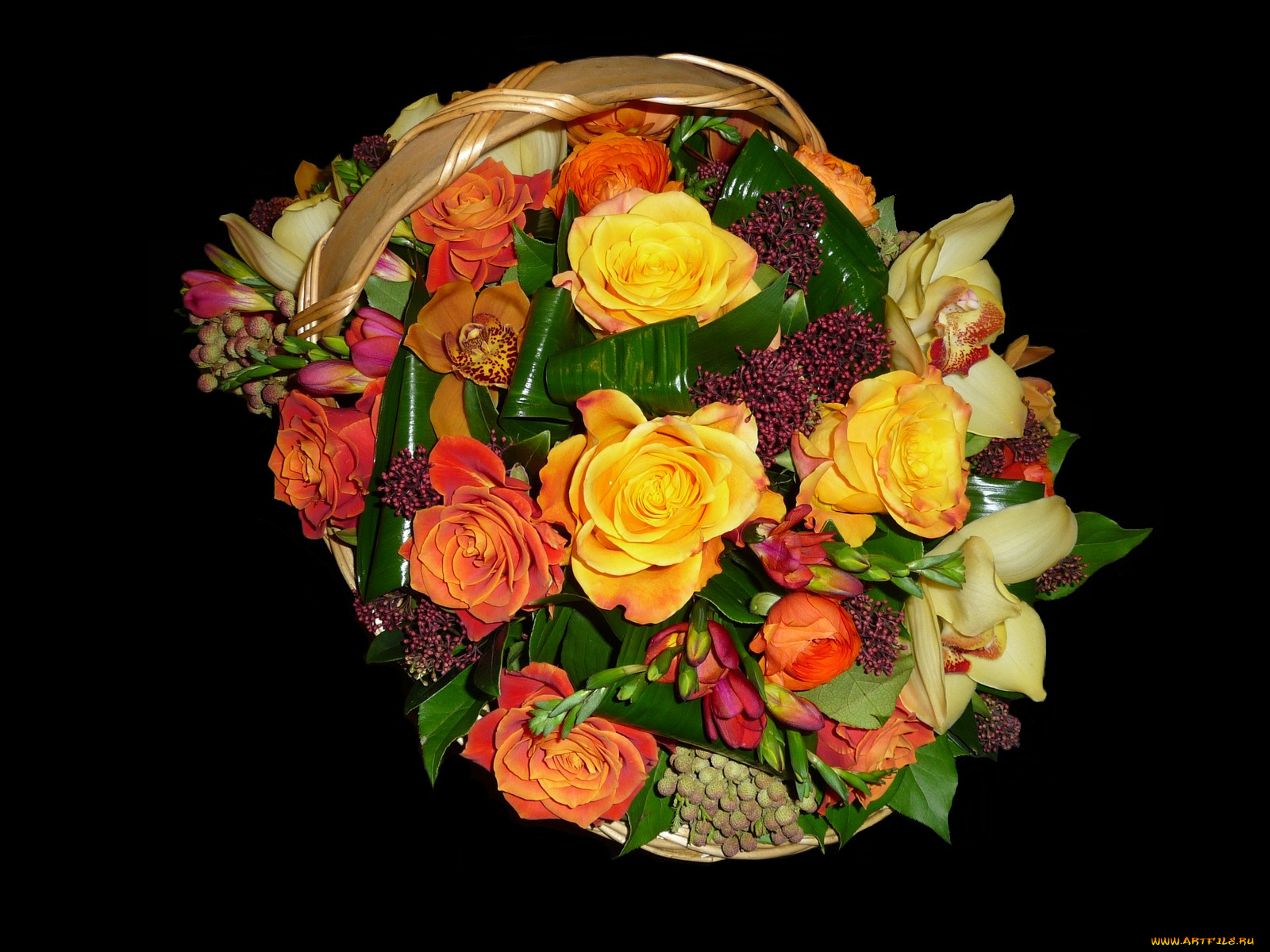 цветы, букеты, композиции