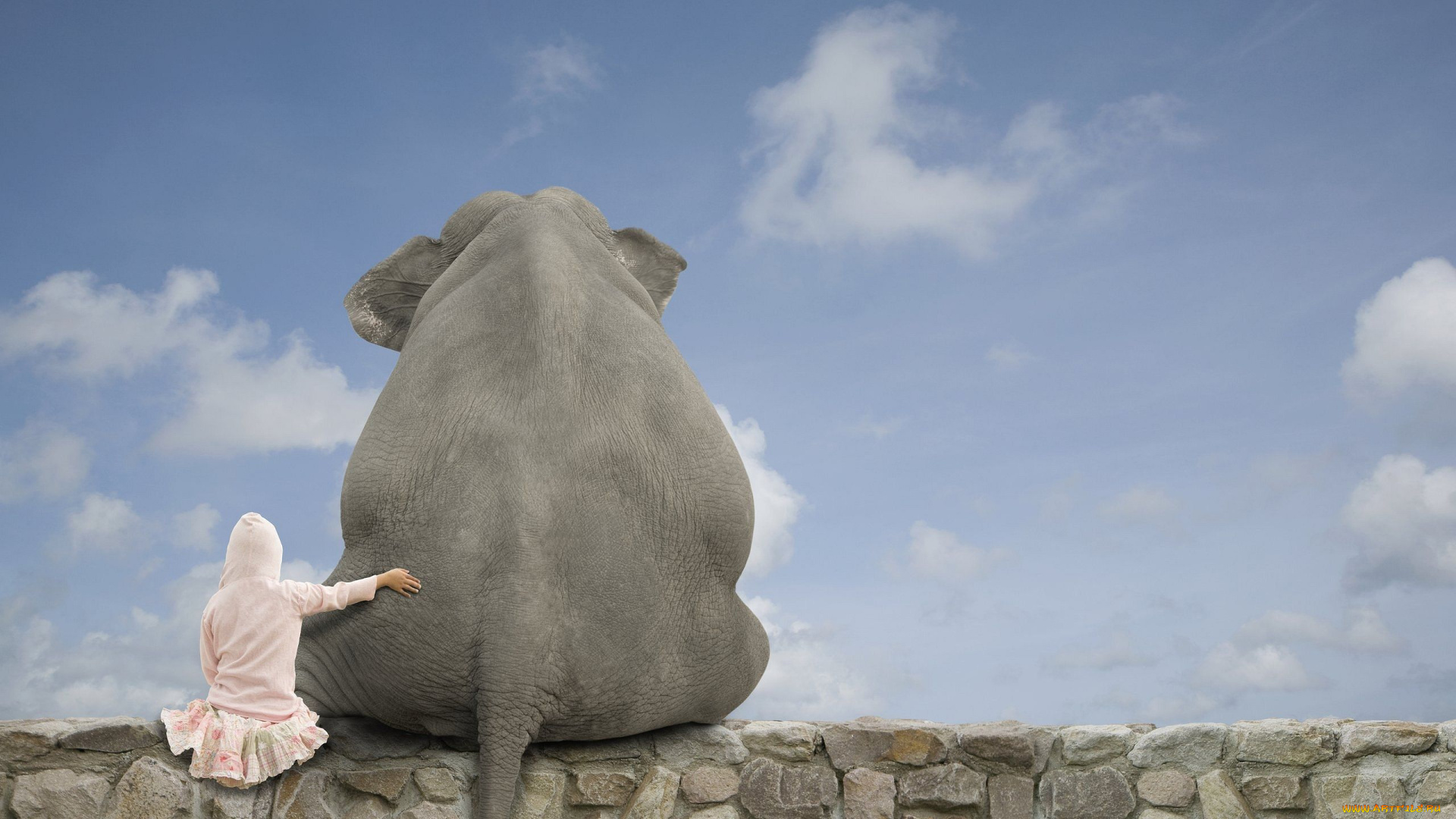 юмор, приколы