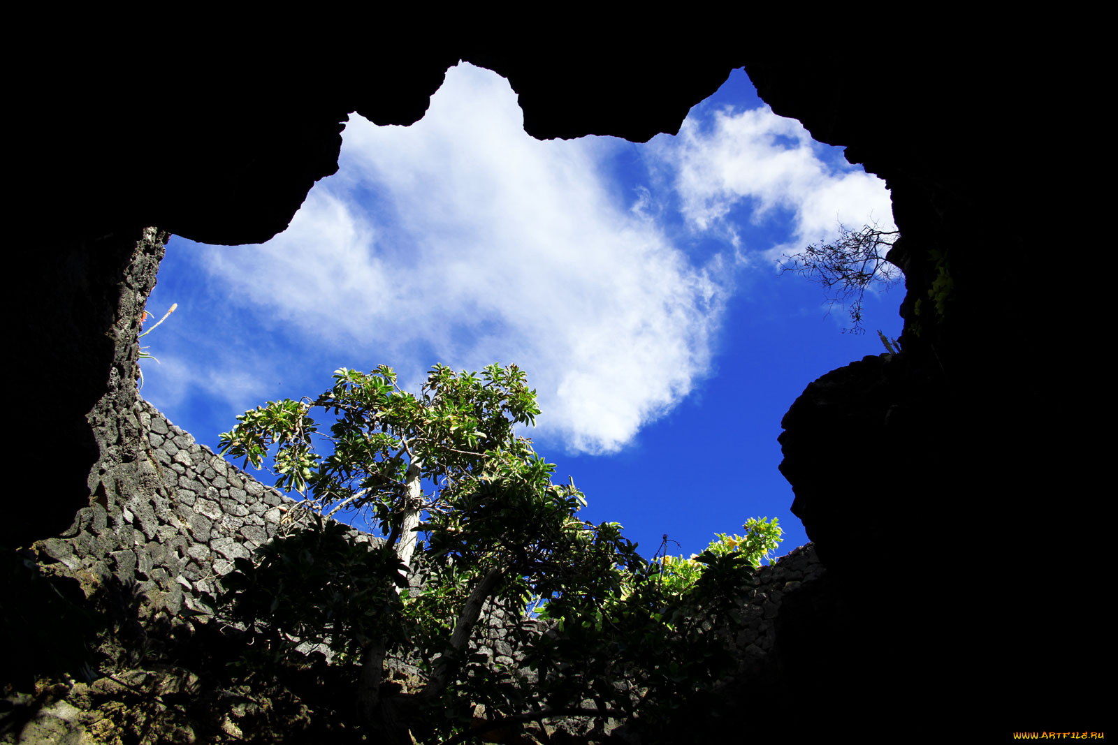 природа, облака, канары