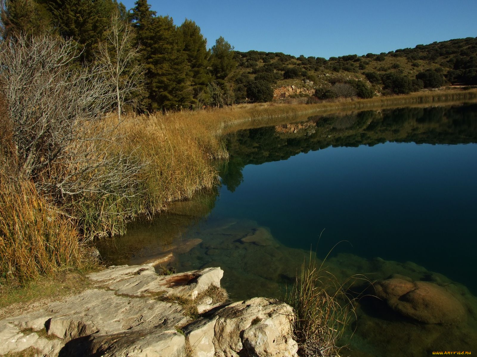 природа, реки, озера, гладь