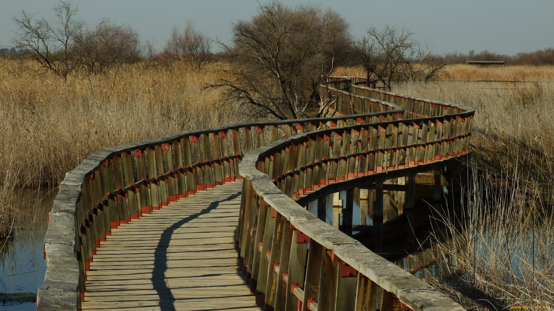 города, мосты, мостки
