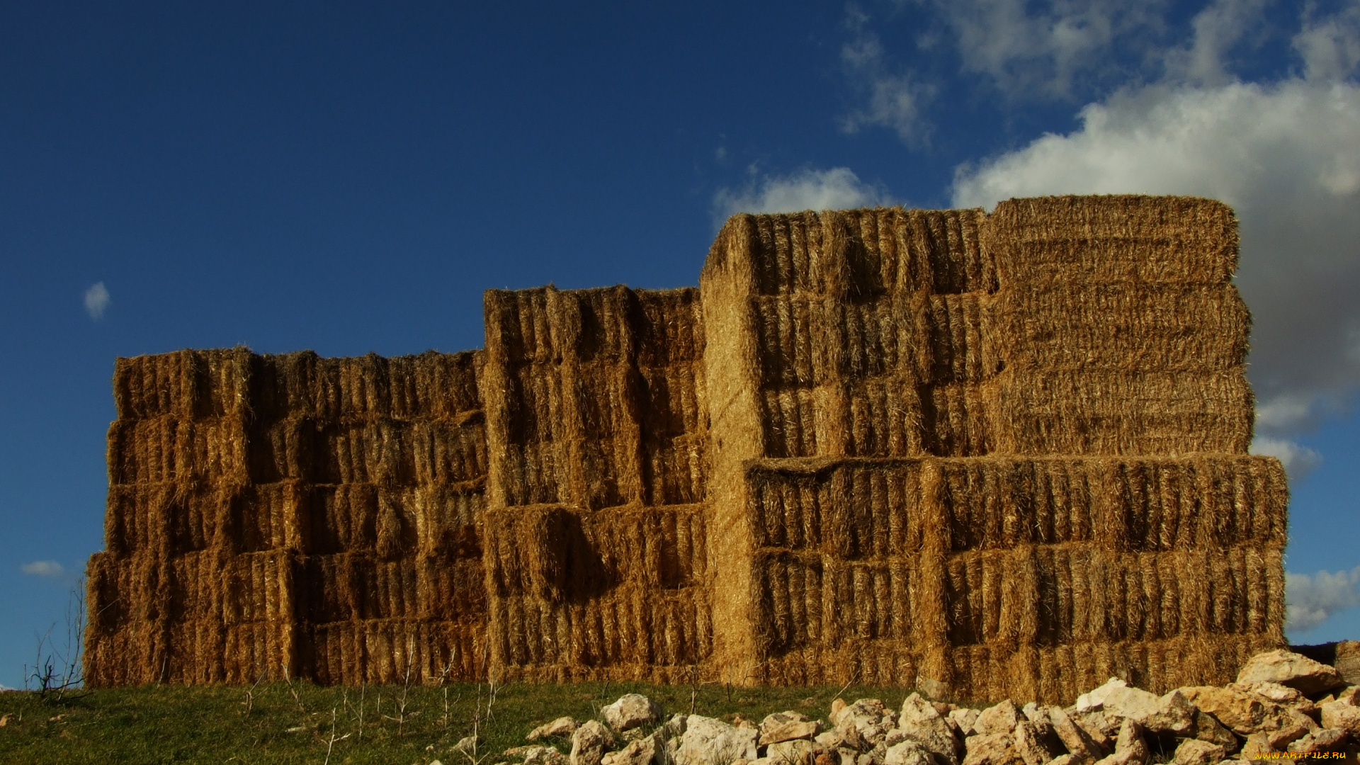 природа, другое, сено