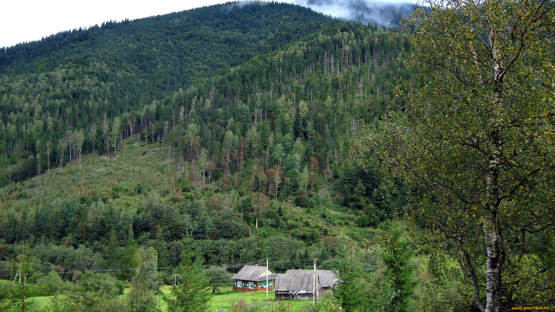 природа, горы, дом, лес