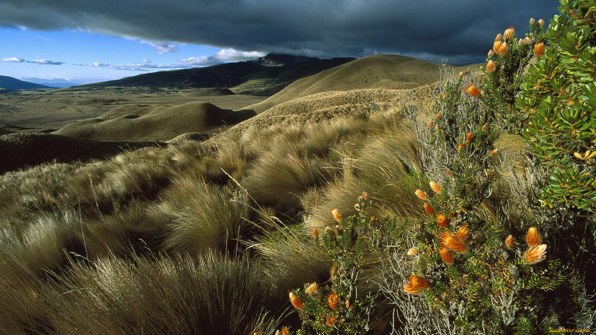 природа, горы, горное, плато