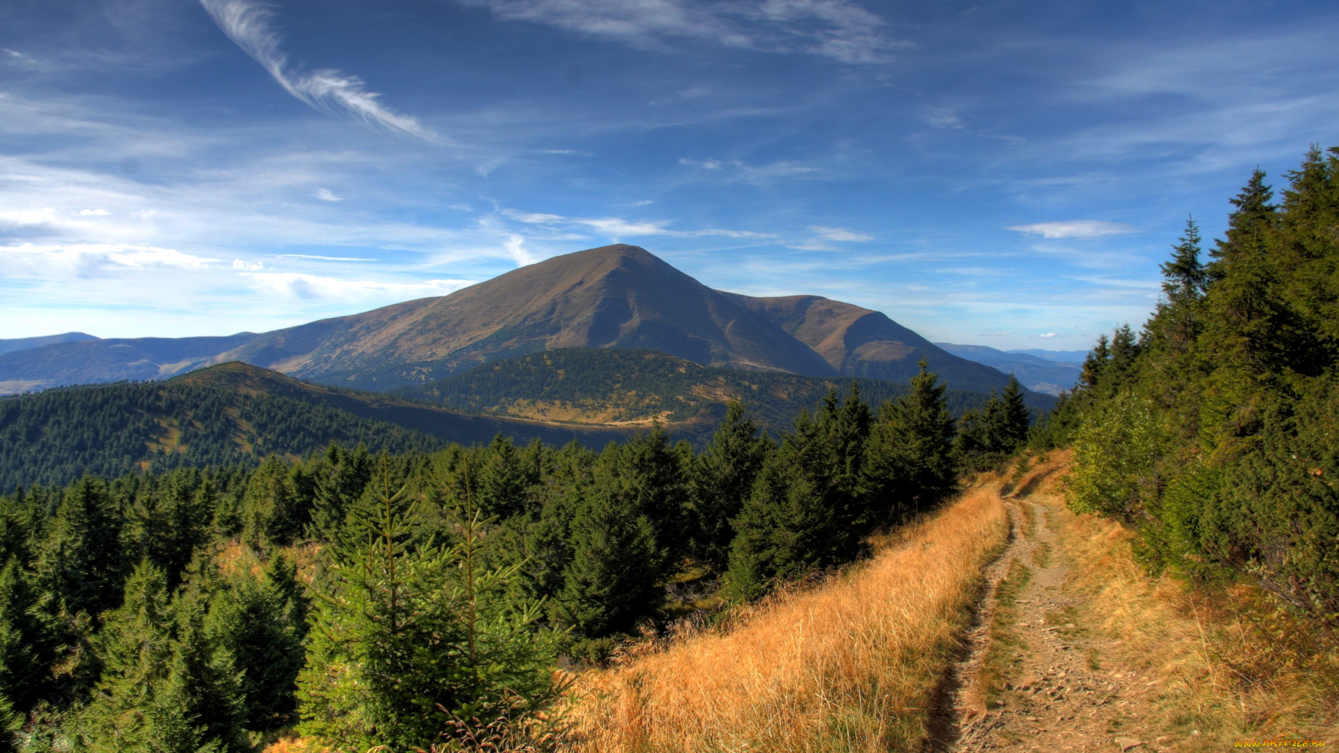 природа, горы, лес