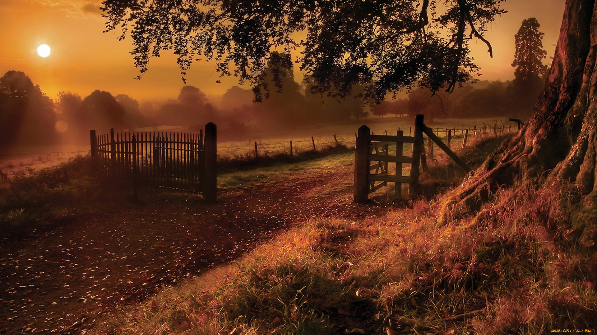 природа, пейзажи, земля, туман, небо