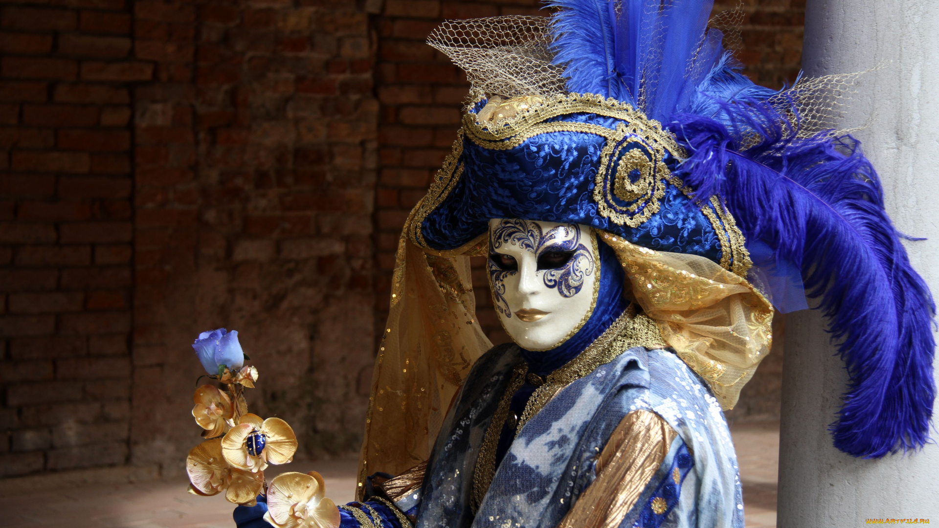 разное, маски, карнавальные, костюмы, венеция, перья, шляпа, карнавал, посох
