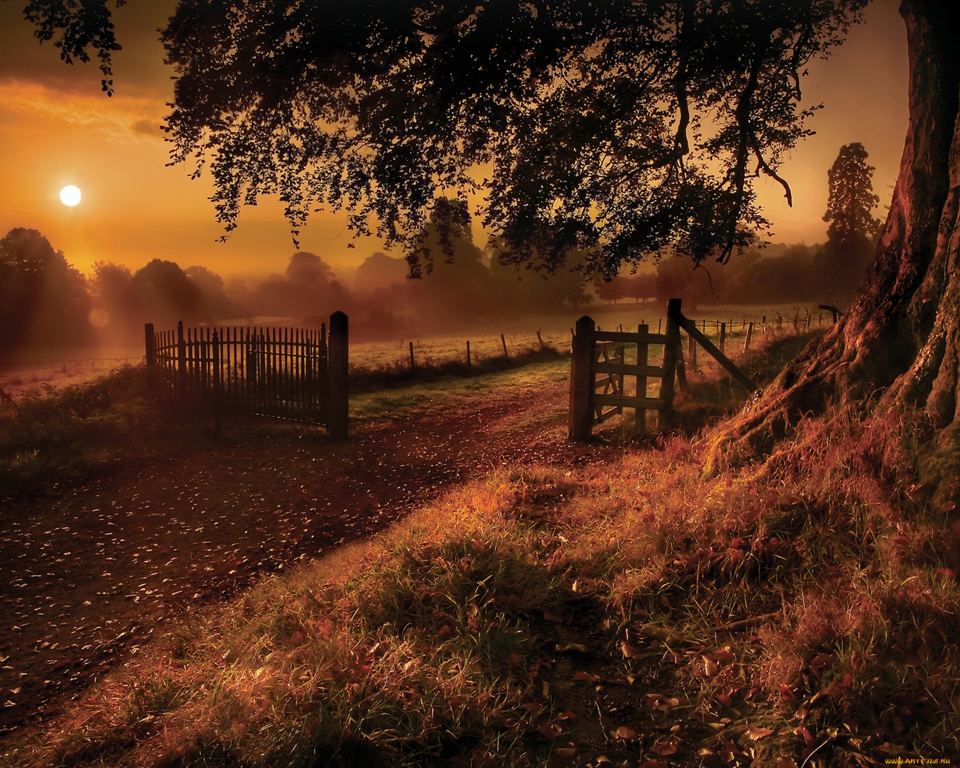 природа, пейзажи, земля, туман, небо