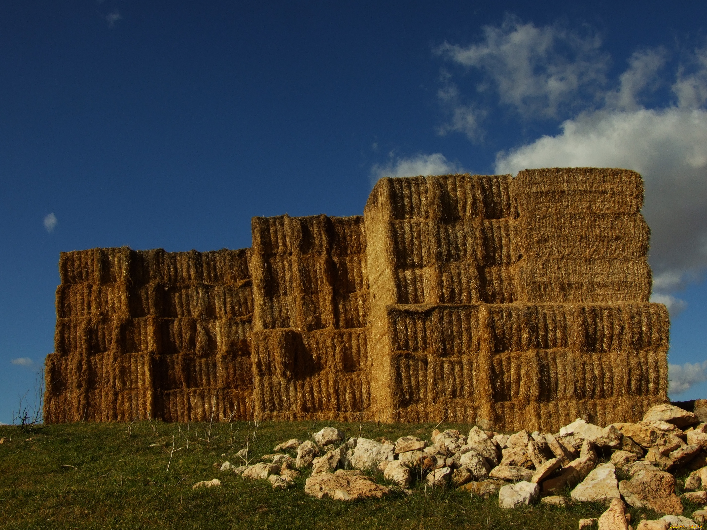 природа, другое, сено