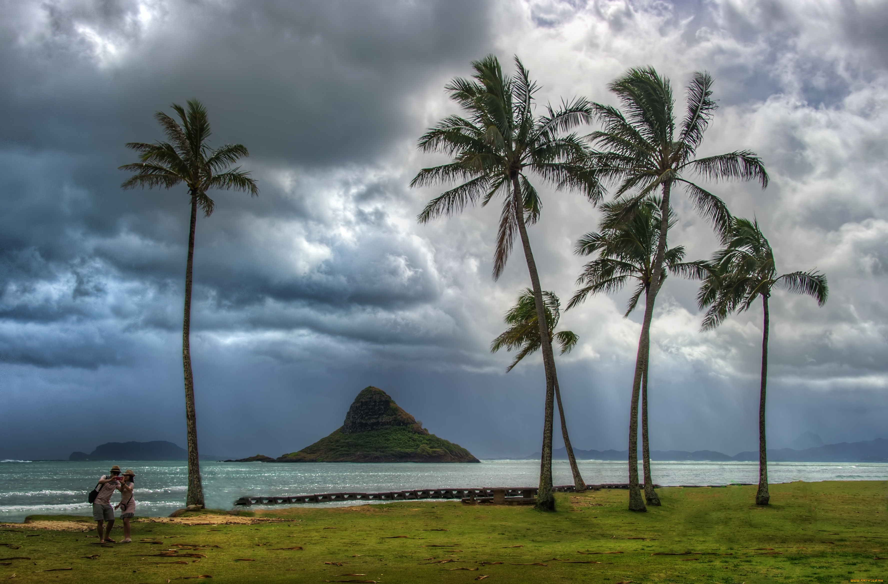 природа, тропики, побережье