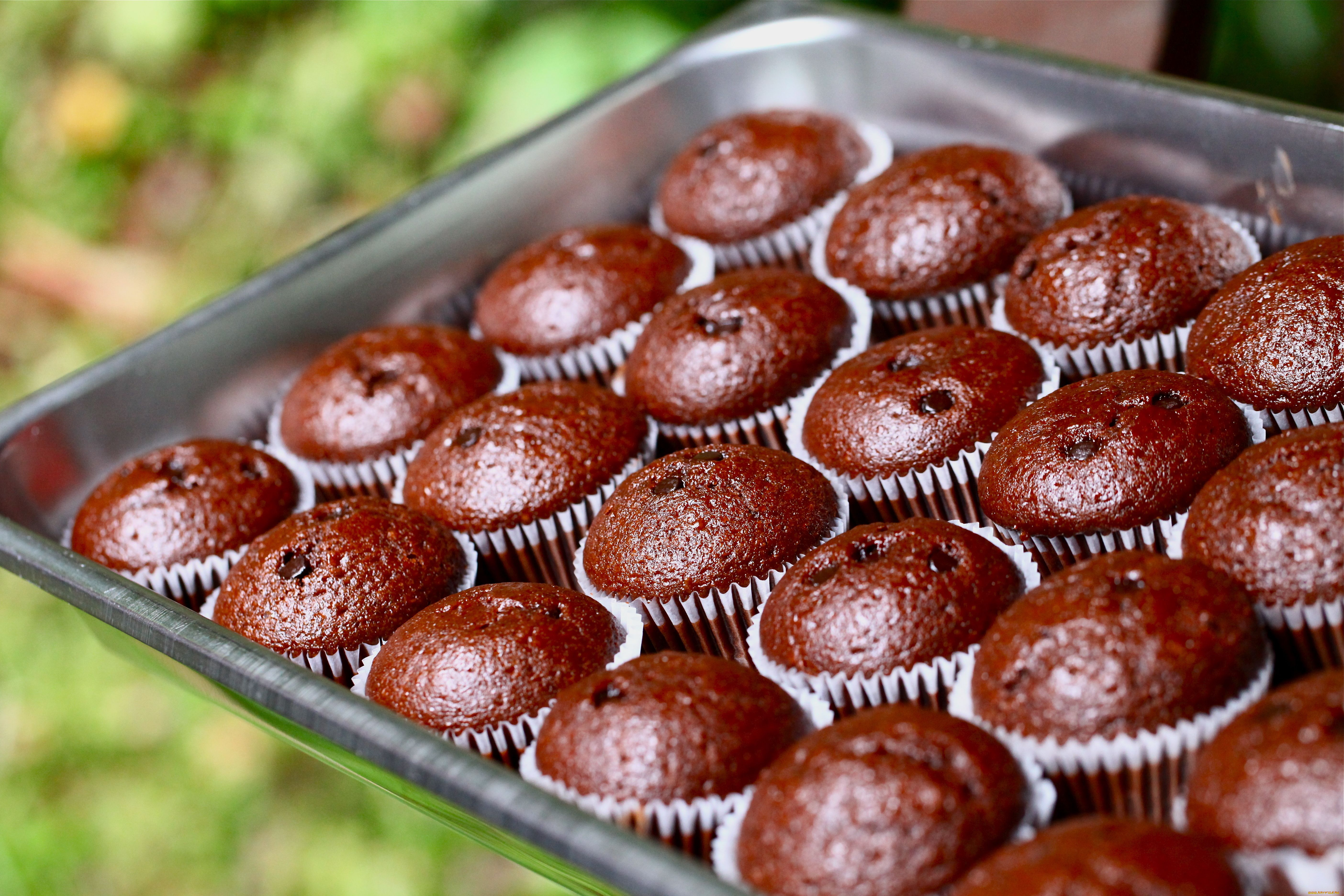 еда, пирожные, кексы, печенье