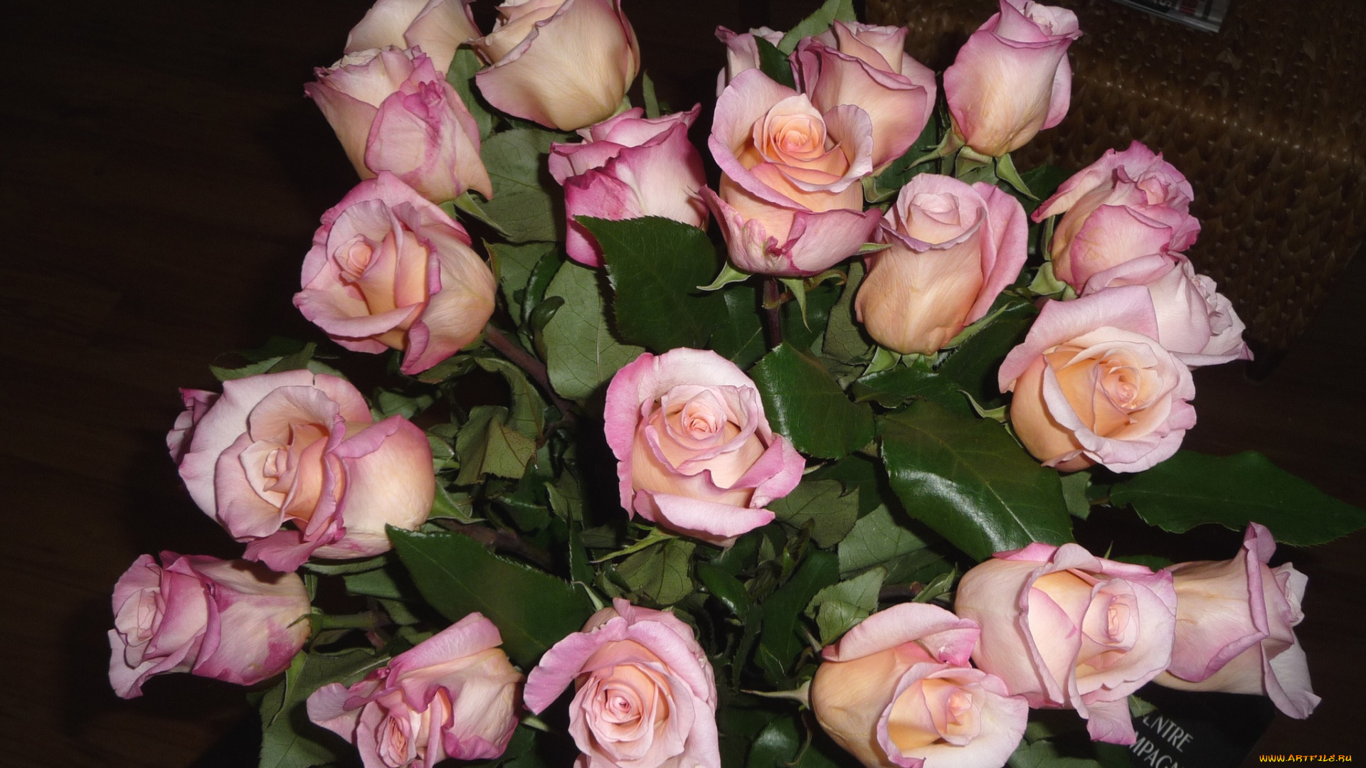 цветы, розы, букет