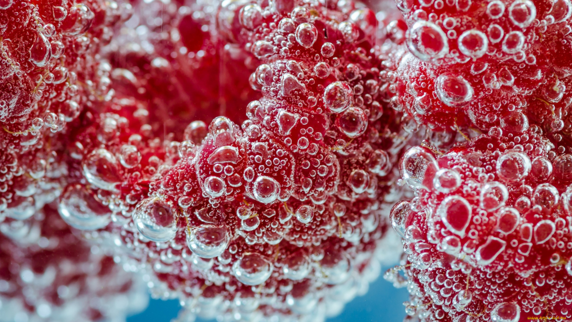 еда, малина, вода, ягоды, пузырьки, макро