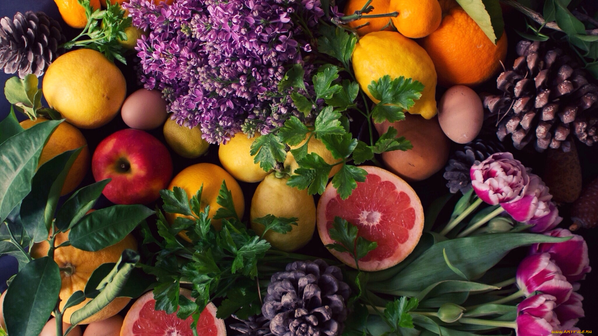 еда, разное, тюльпаны, петрушка, яблоки, лимоны, апельсины, шишки, сирень, роскошь, фрукты