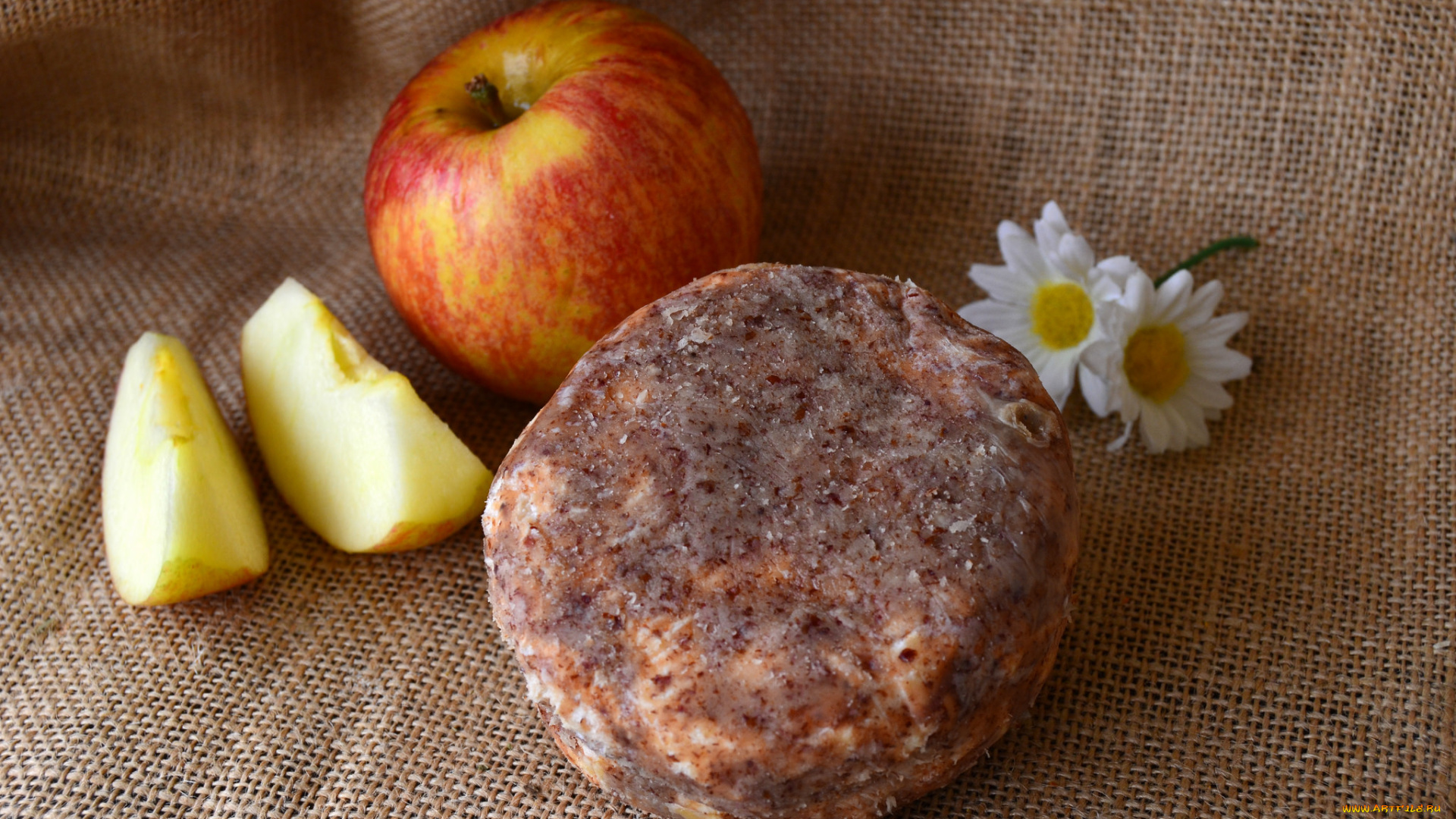 le, cameau, еда, сырные, изделия, сыр