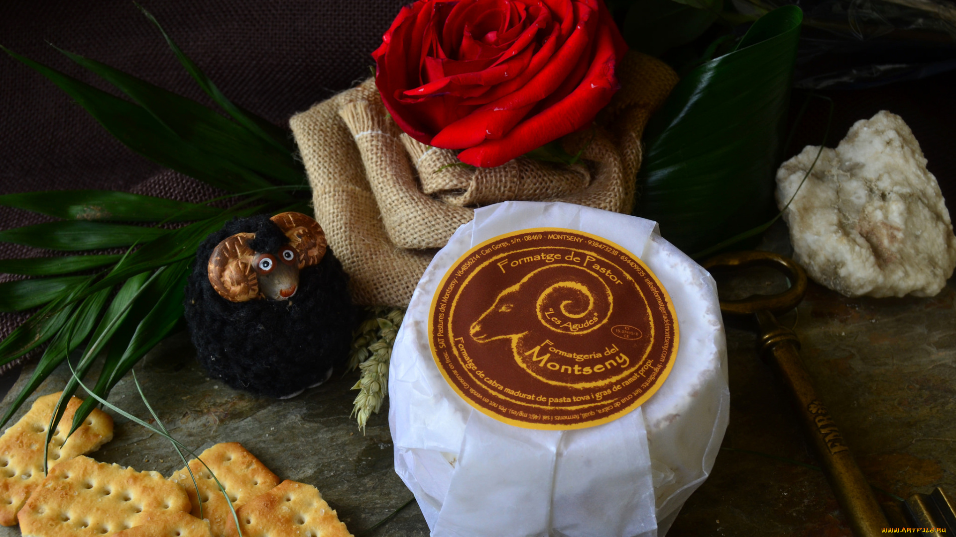 les, agudes, еда, сырные, изделия, сыр