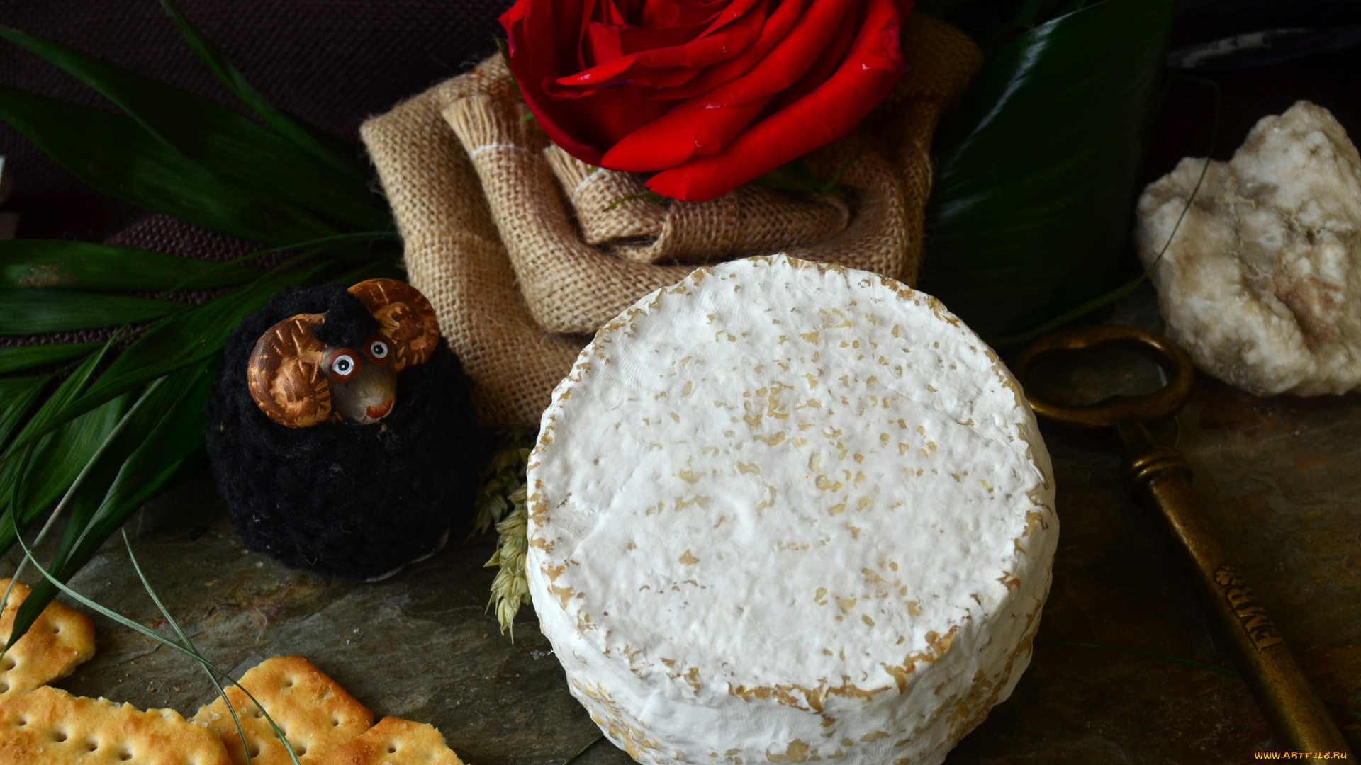 les, agudes, еда, сырные, изделия, сыр