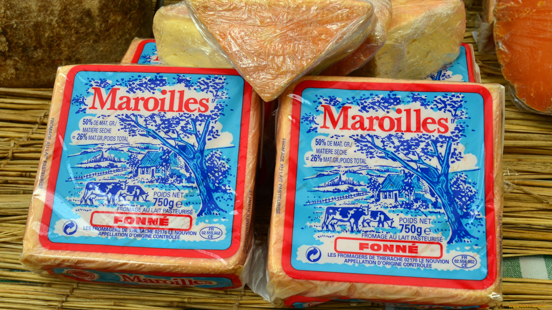 maroilles, еда, сырные, изделия, сыр