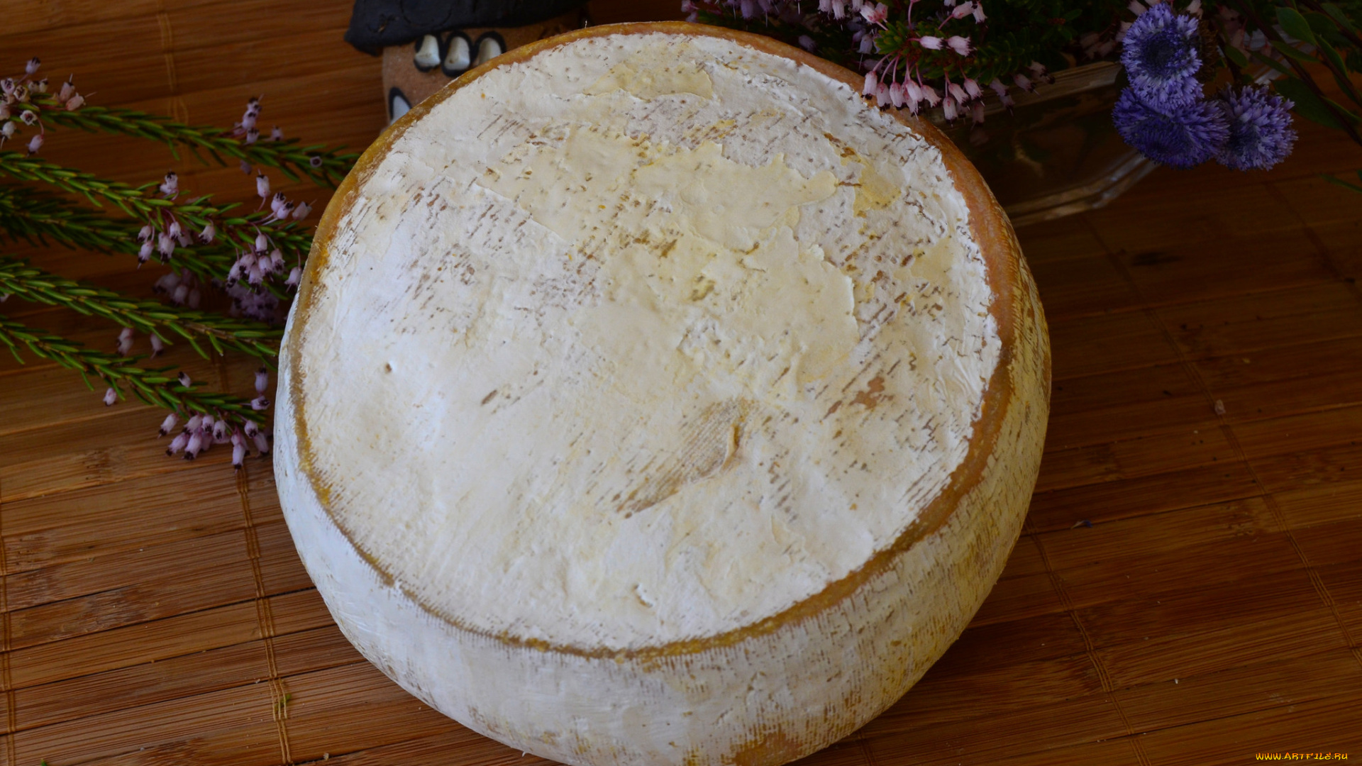 novell, , gran, formato, еда, сырные, изделия, сыр