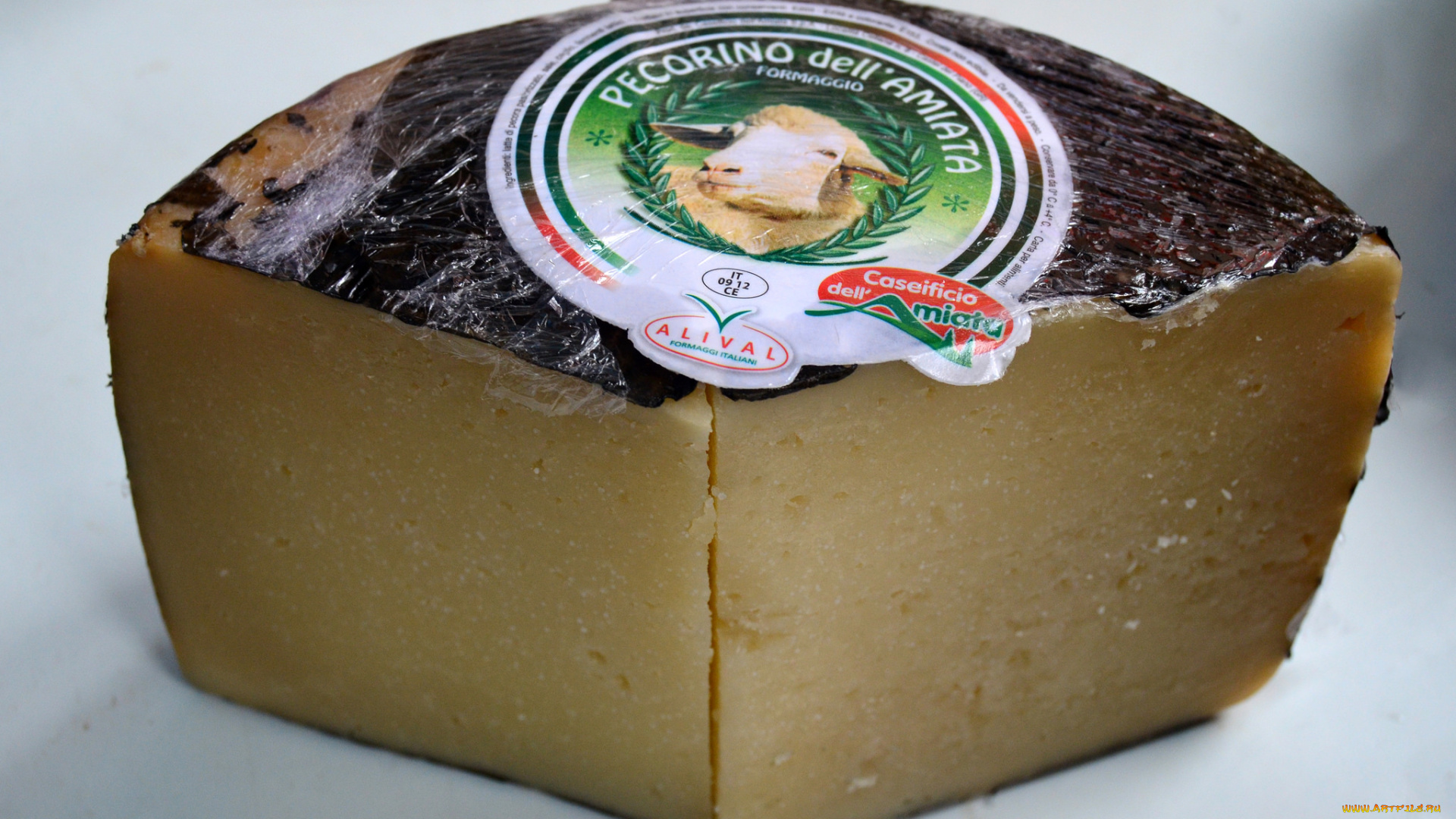 pecorino, dell’amiata, еда, сырные, изделия, сыр