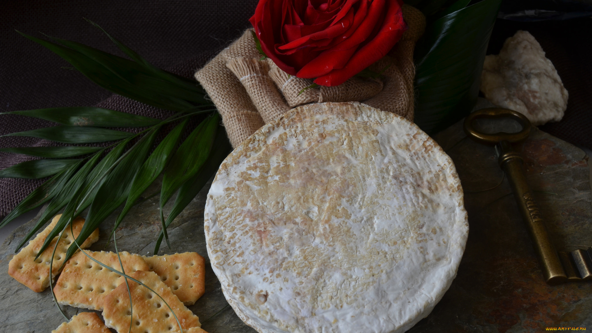 pla, peque&, 241, еда, сырные, изделия, сыр