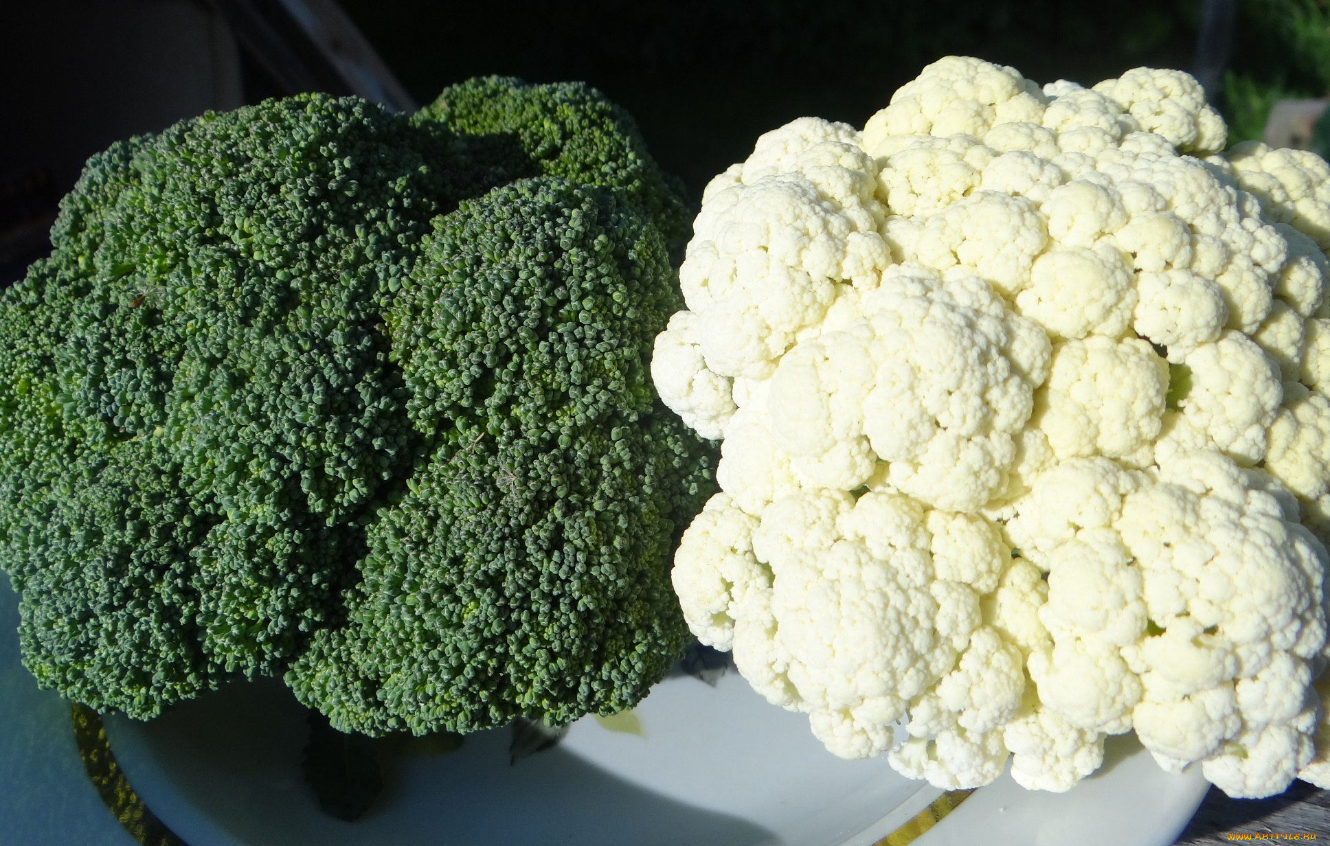 еда, капуста, и, её, разновидности, капуста, цветная